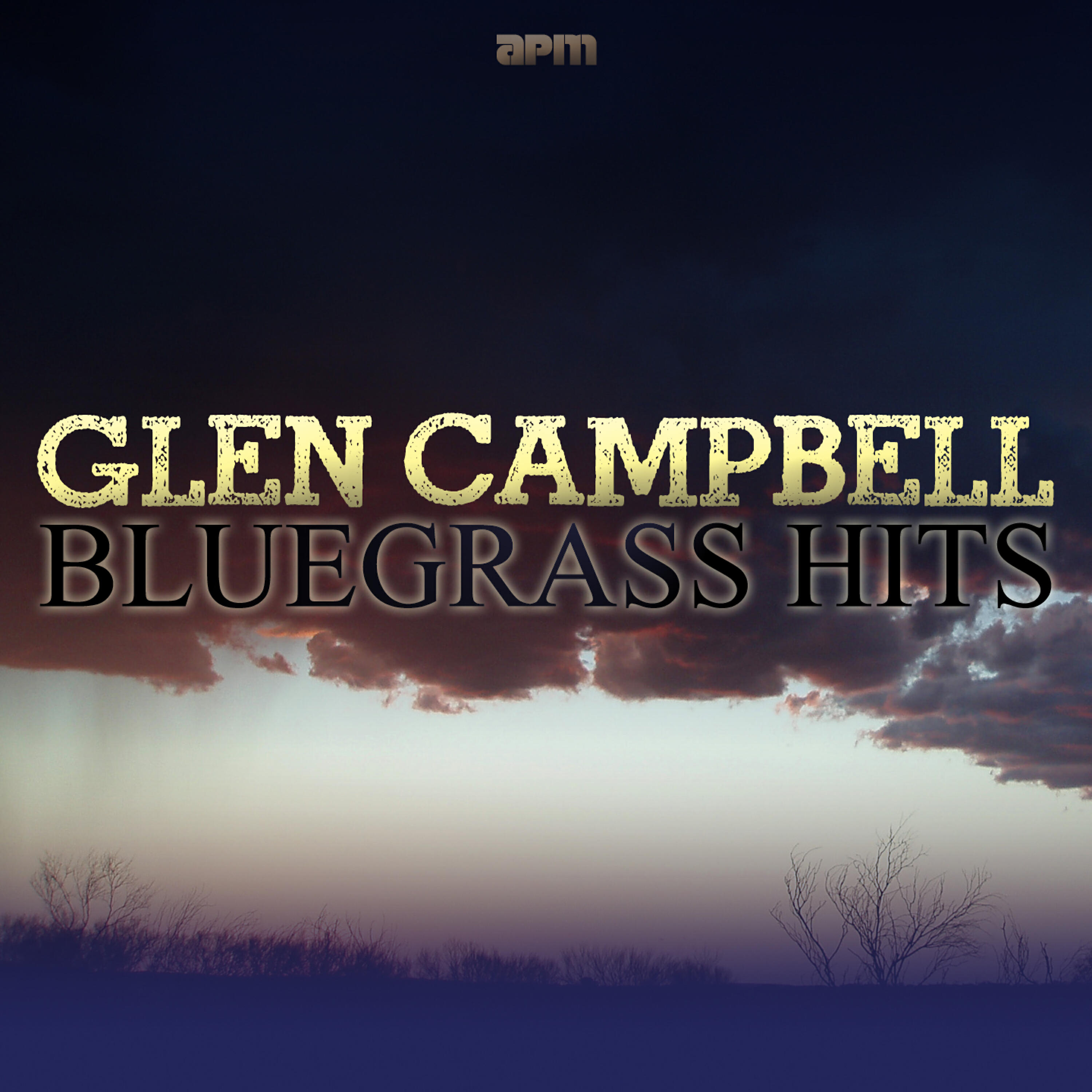 Glen Cambell - There's More Pretty Girls Than One