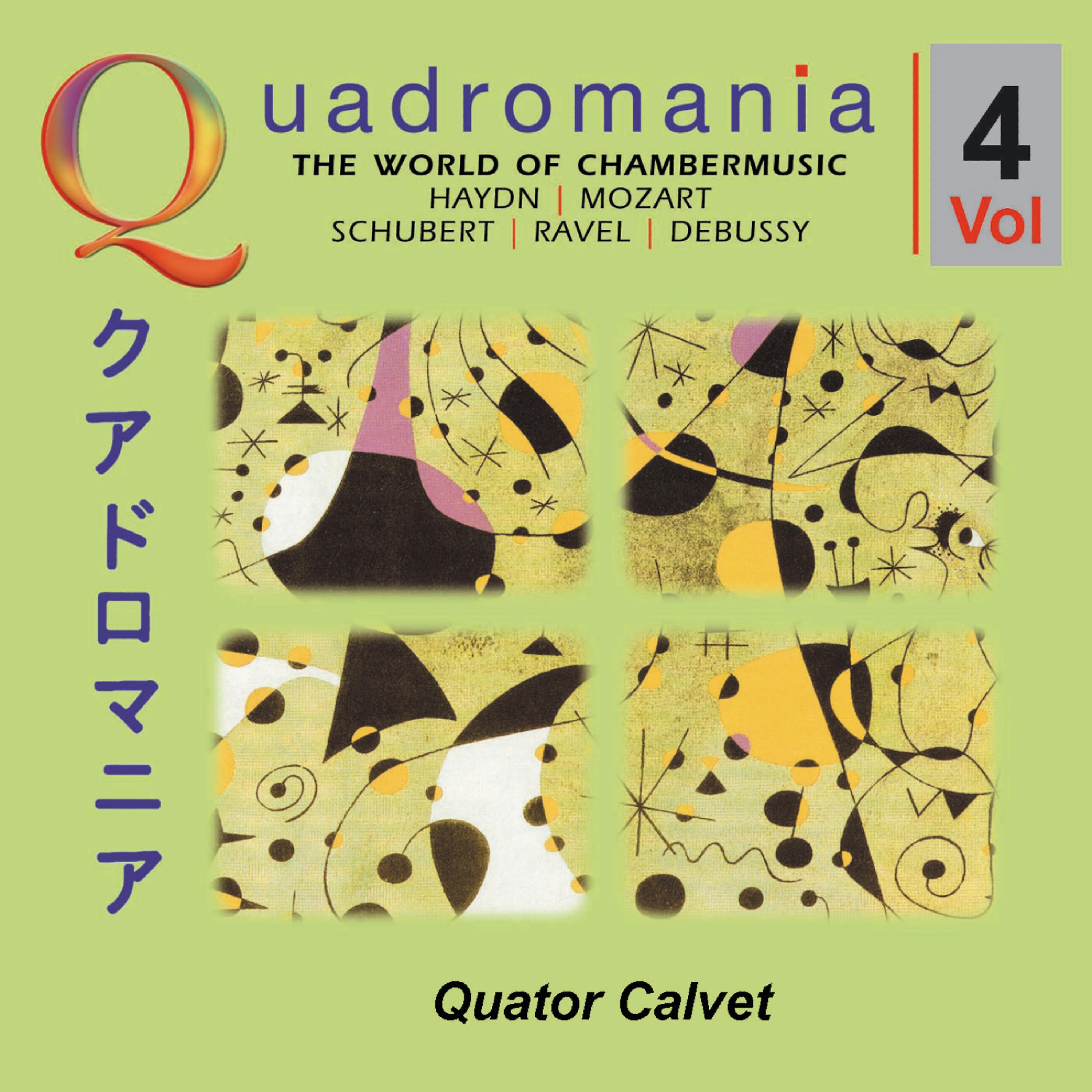 Quator Calvet - String Quartet in D minor, D 810 Death and the Maiden: II. Andante con moto