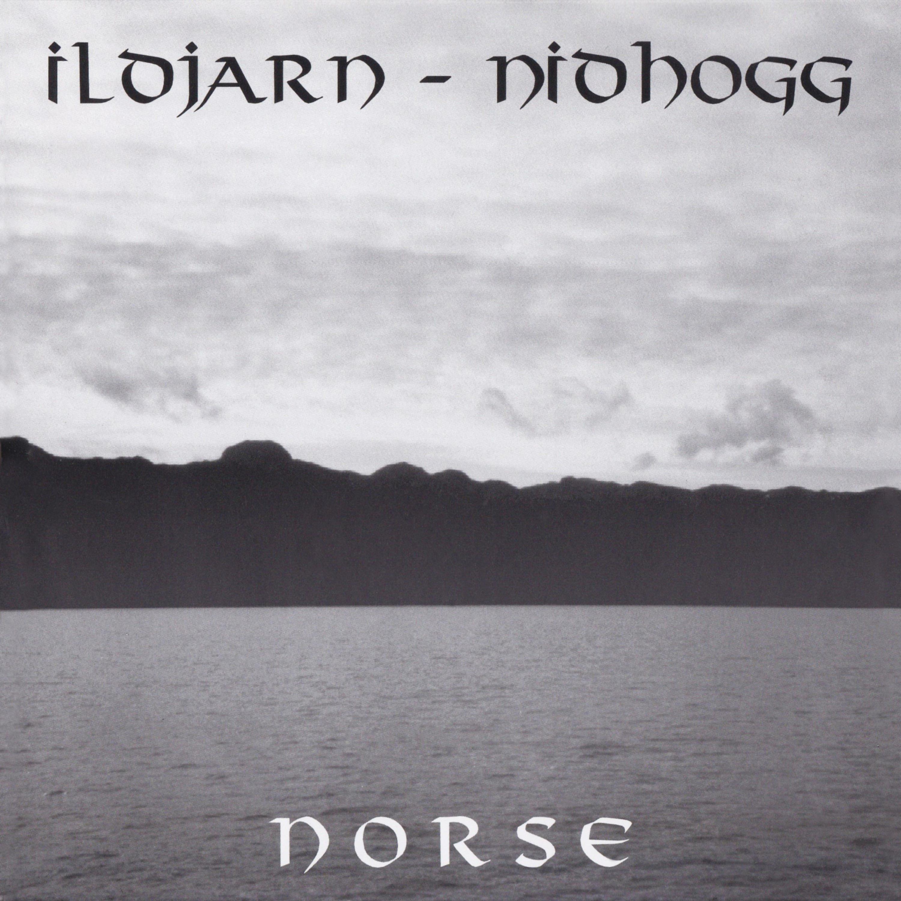 Постер альбома Norse