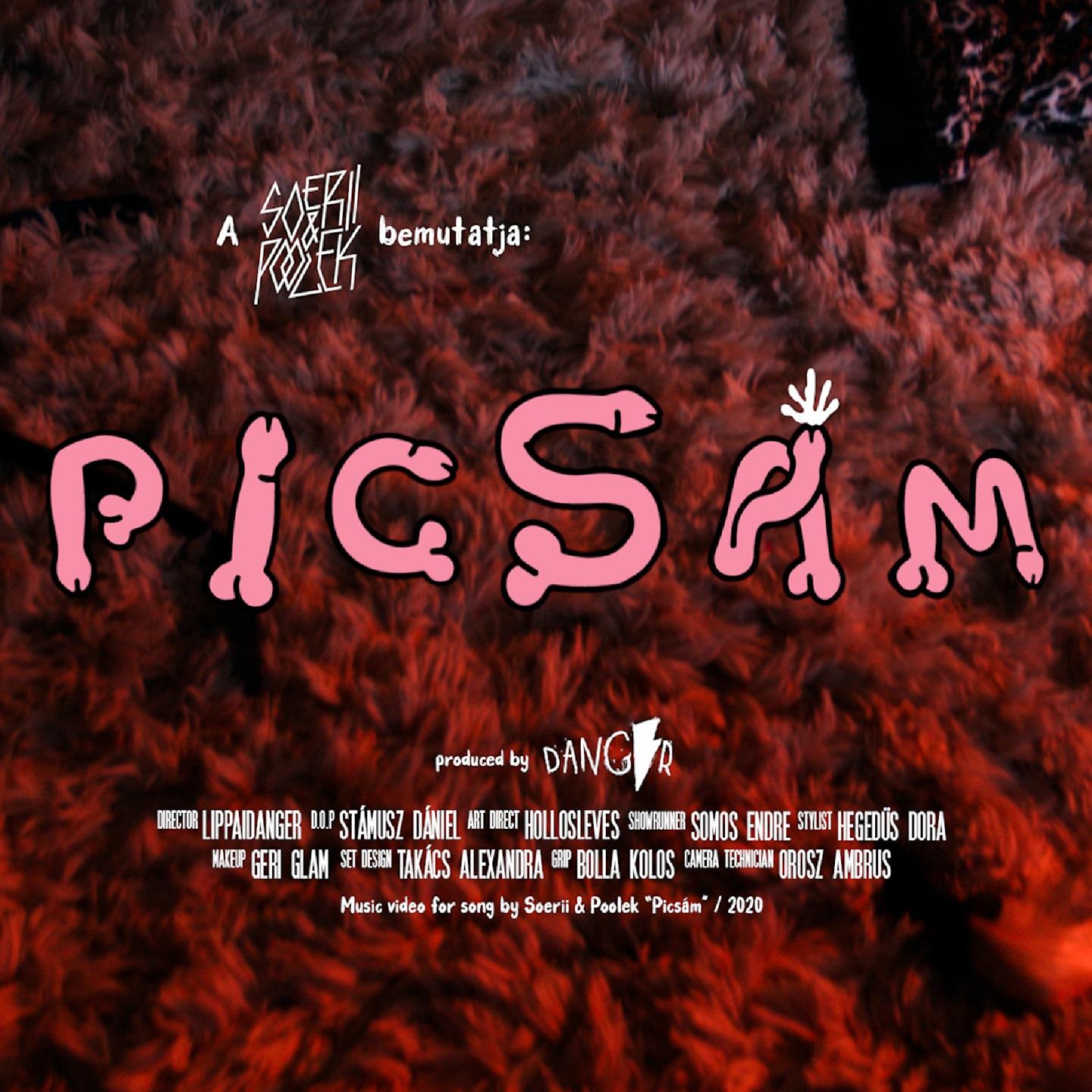 Постер альбома Picsám