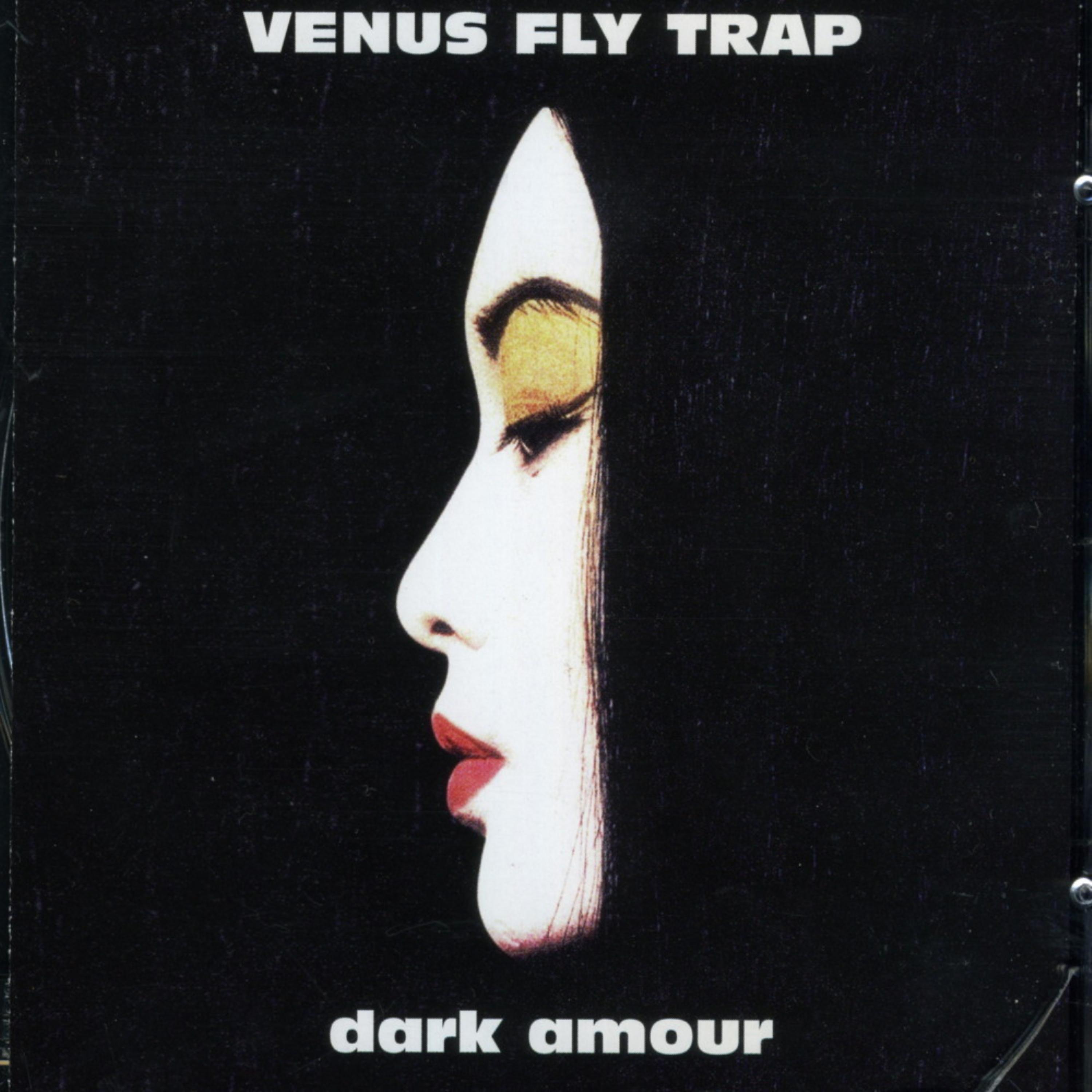 Постер альбома Dark Armour
