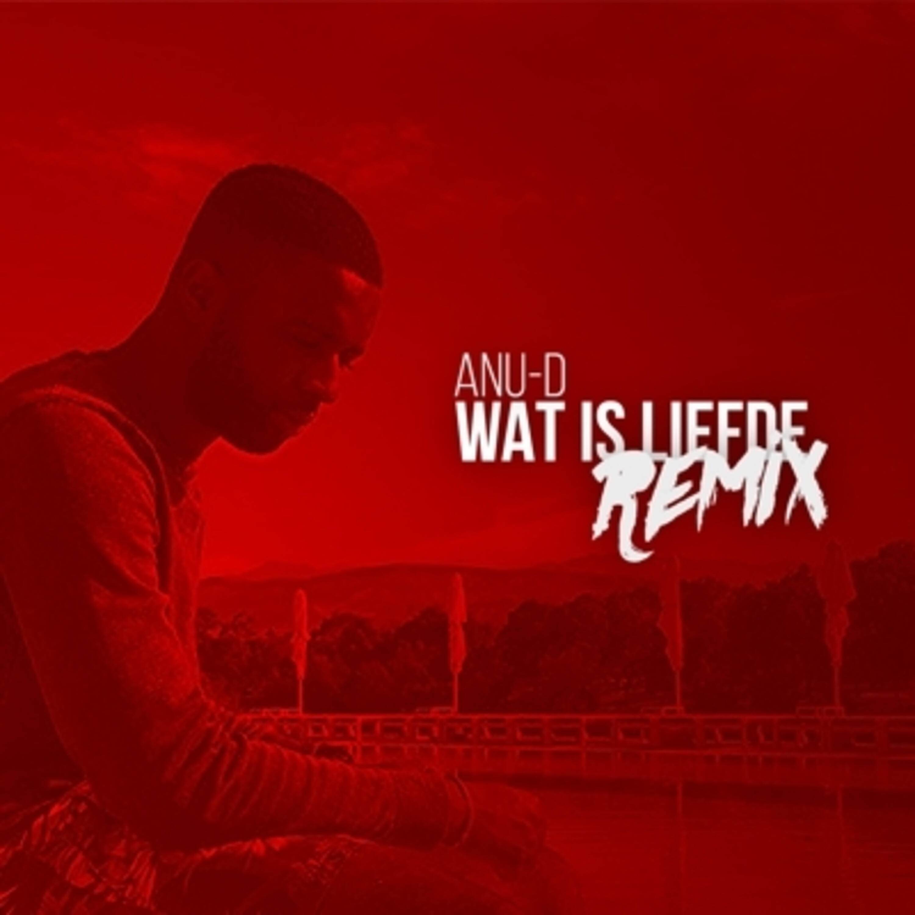 Anu-D - Wat Is Liefde (Remix)