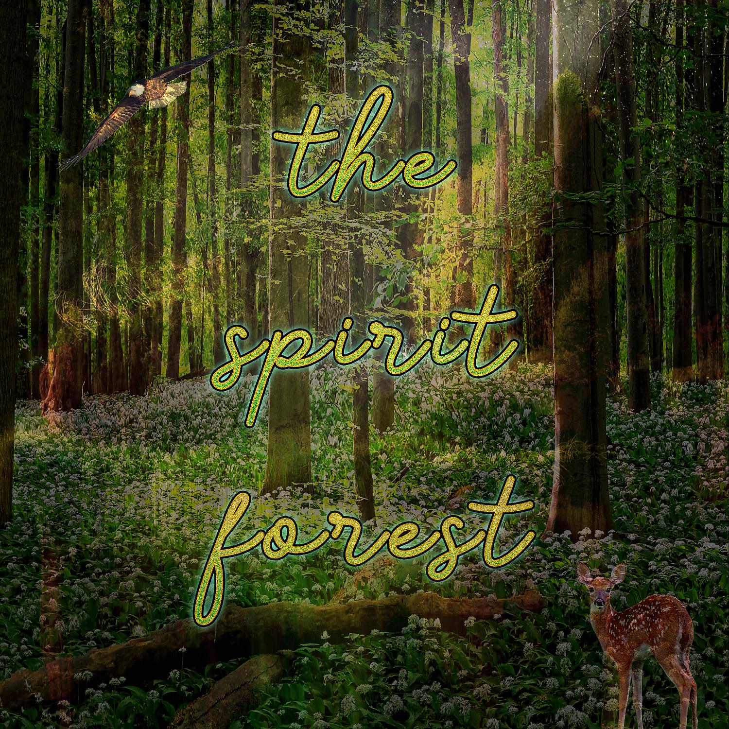 Постер альбома The Spirit Forest