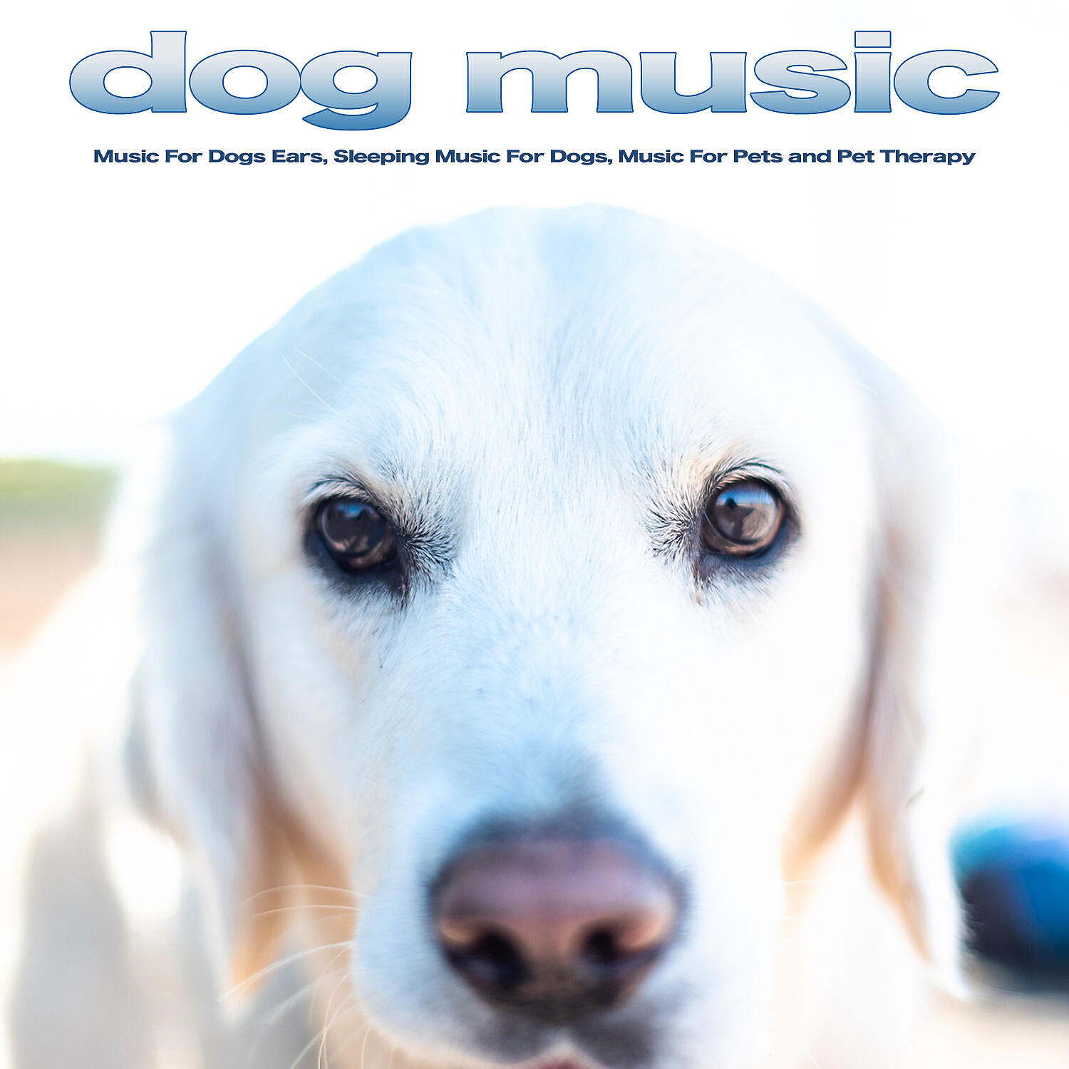 Dog Music - Sleeping Music For Dogs