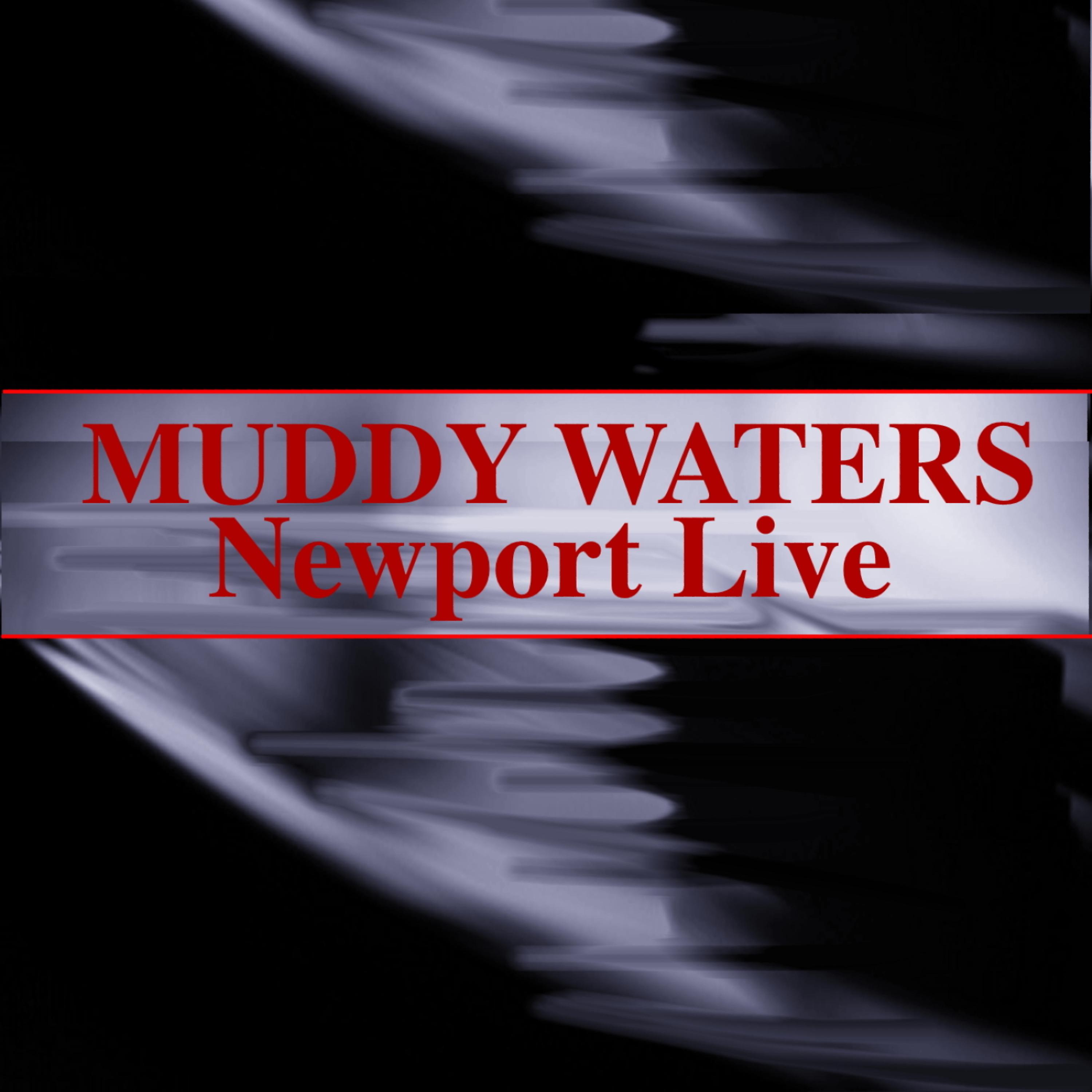 Постер альбома Newport Live