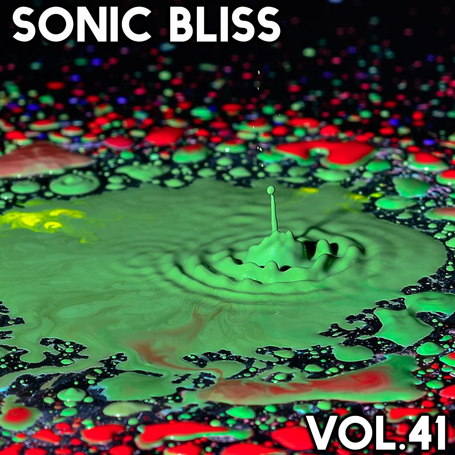 Постер альбома Sonic Bliss, Vol. 41