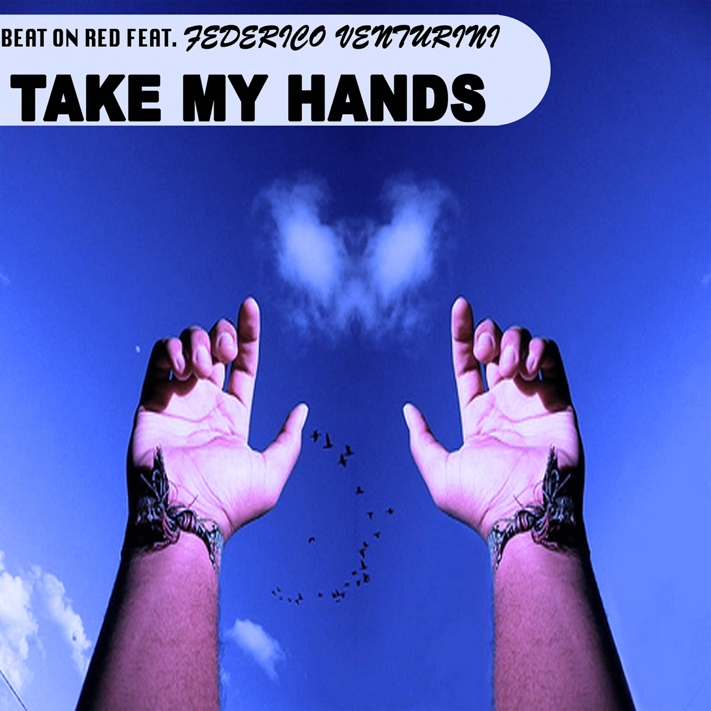Federico Venturini - Take My Hands (Hardbros Extended Mix)