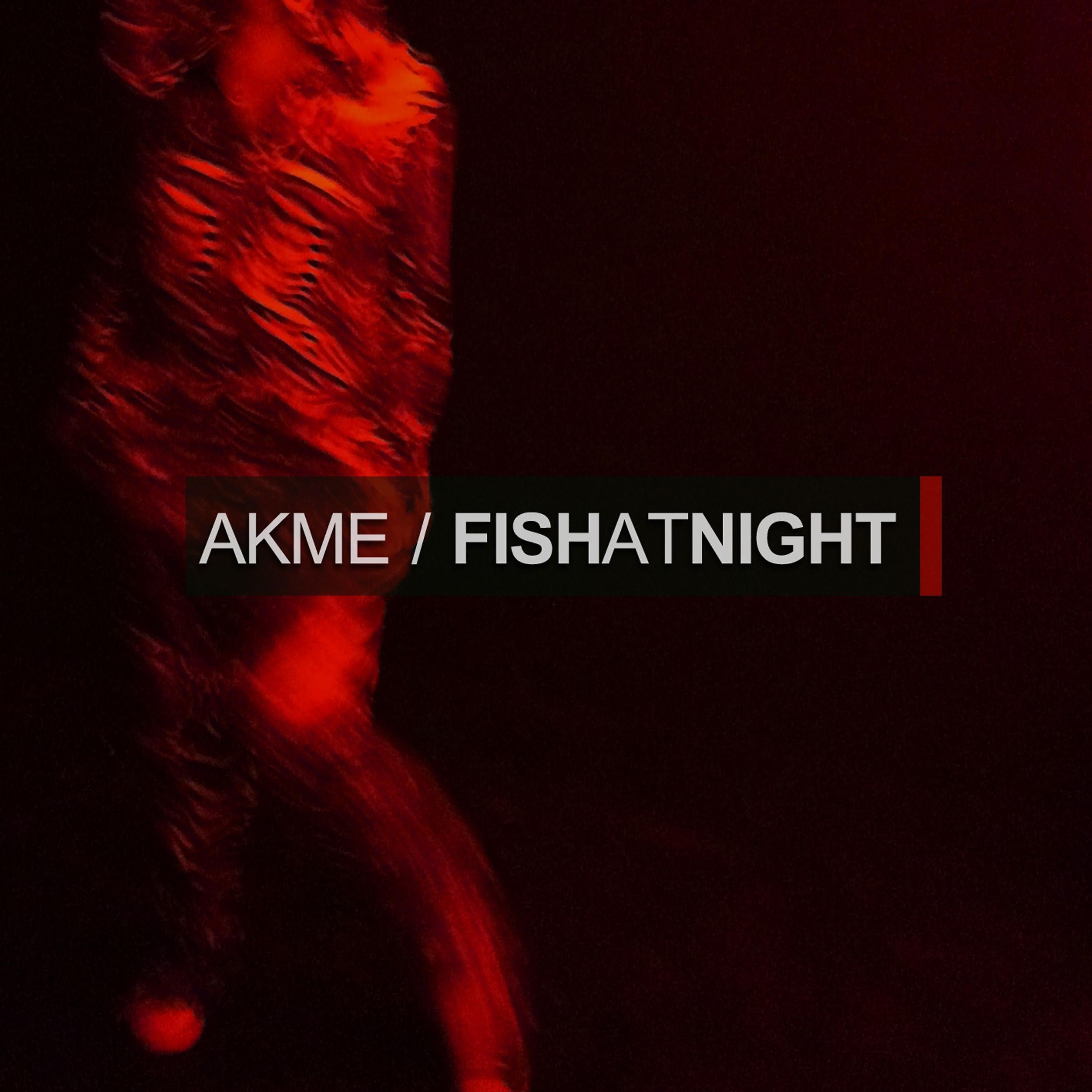 Постер альбома Fish at Night EP