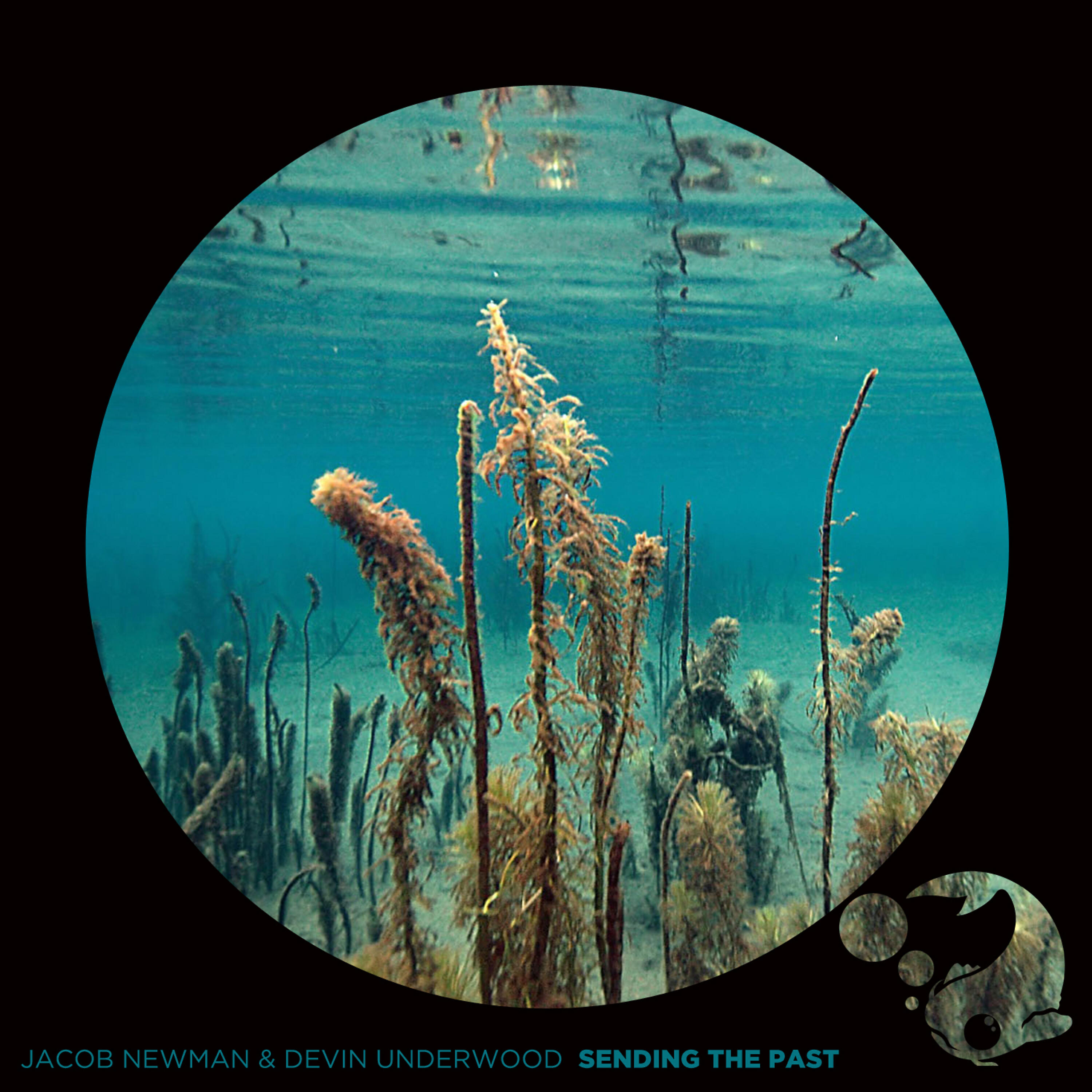 Jacob Newman - Rotations
