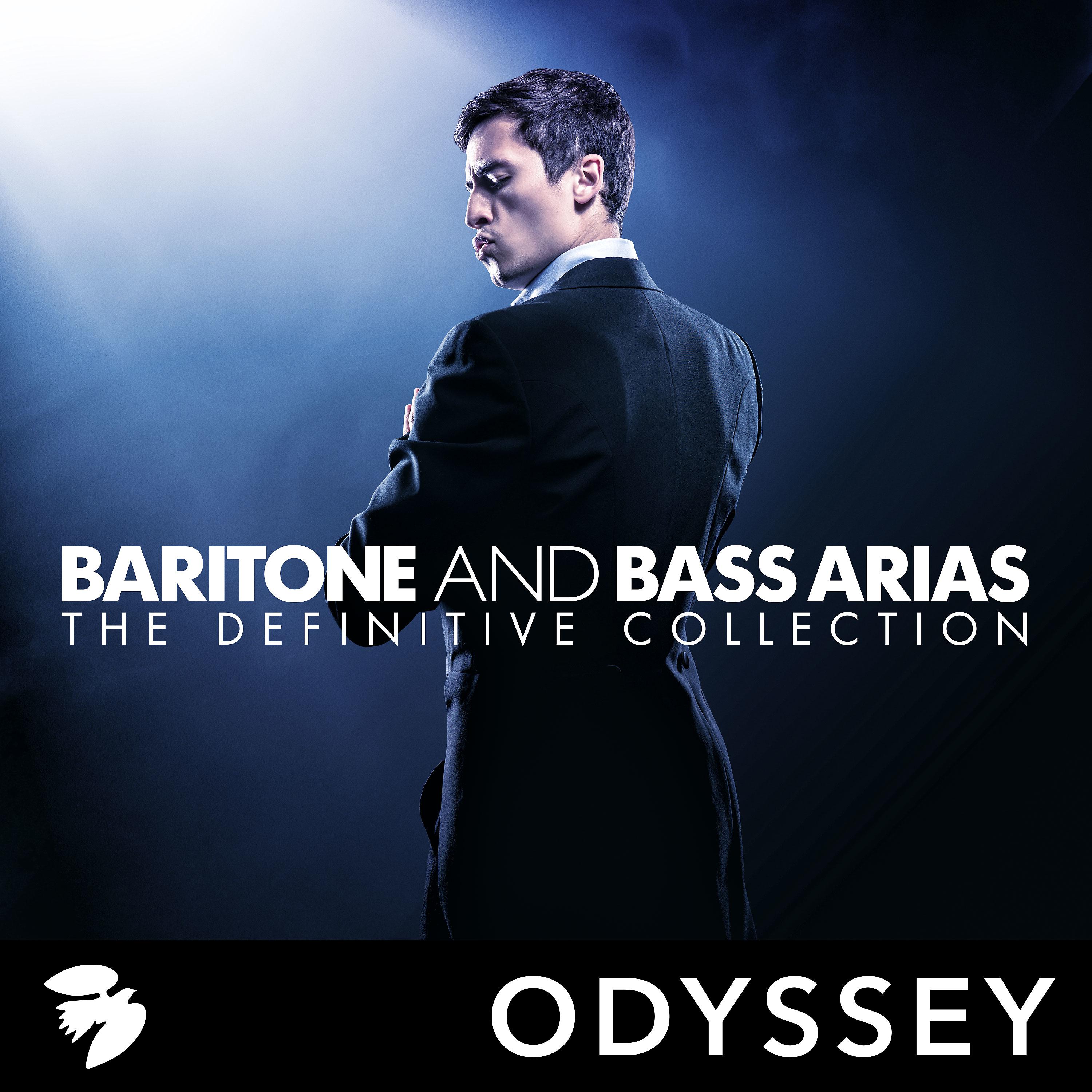Постер альбома Baritone and Bass Arias: The Definitive Collection