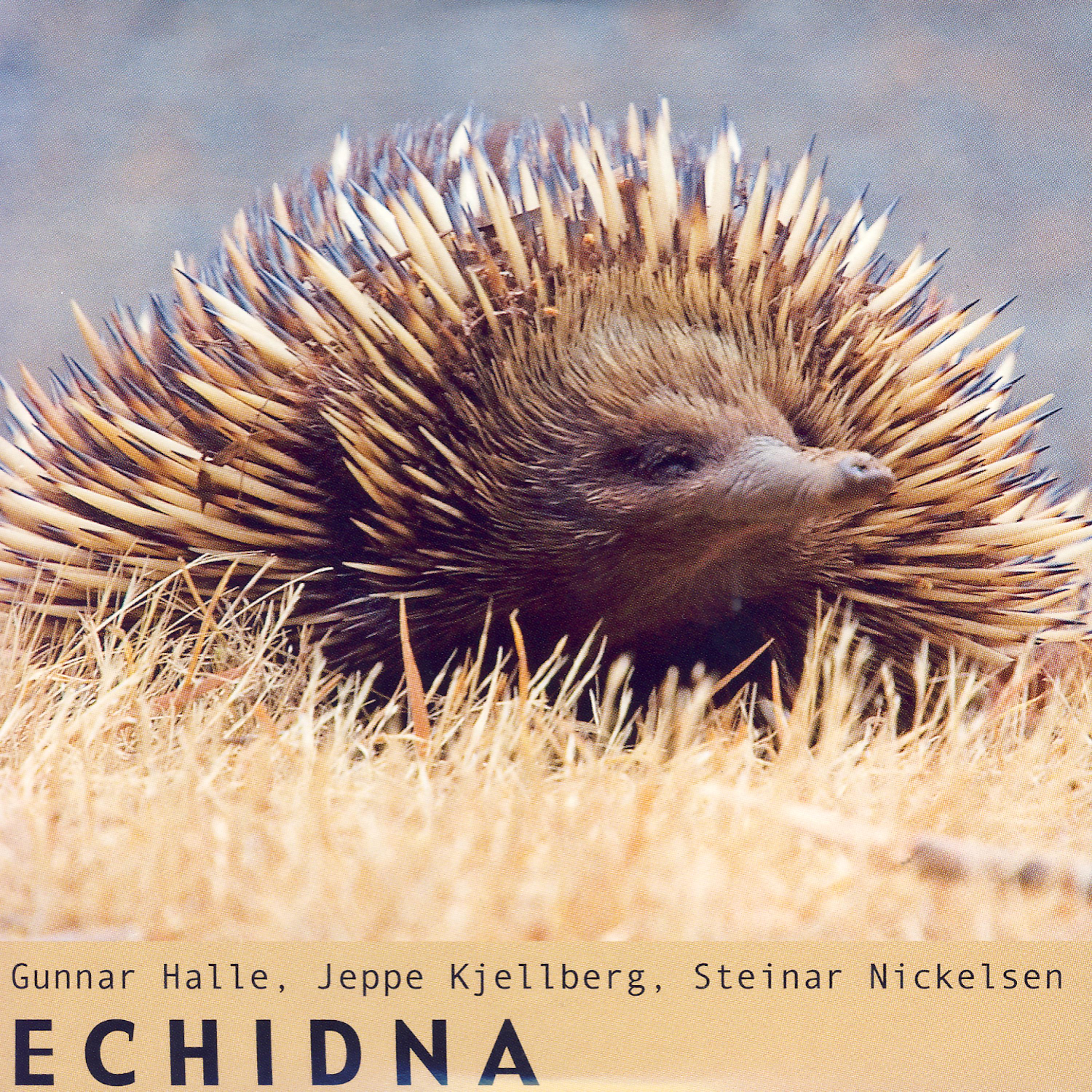 Постер альбома Echidna