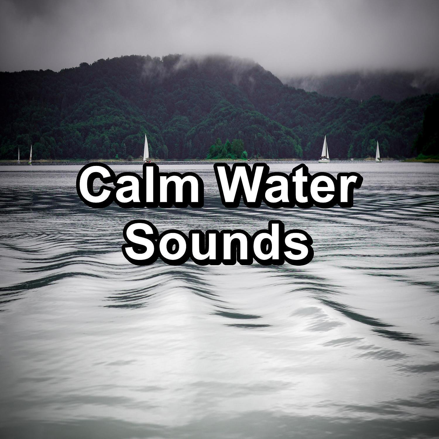 Постер альбома Calm Water Sounds