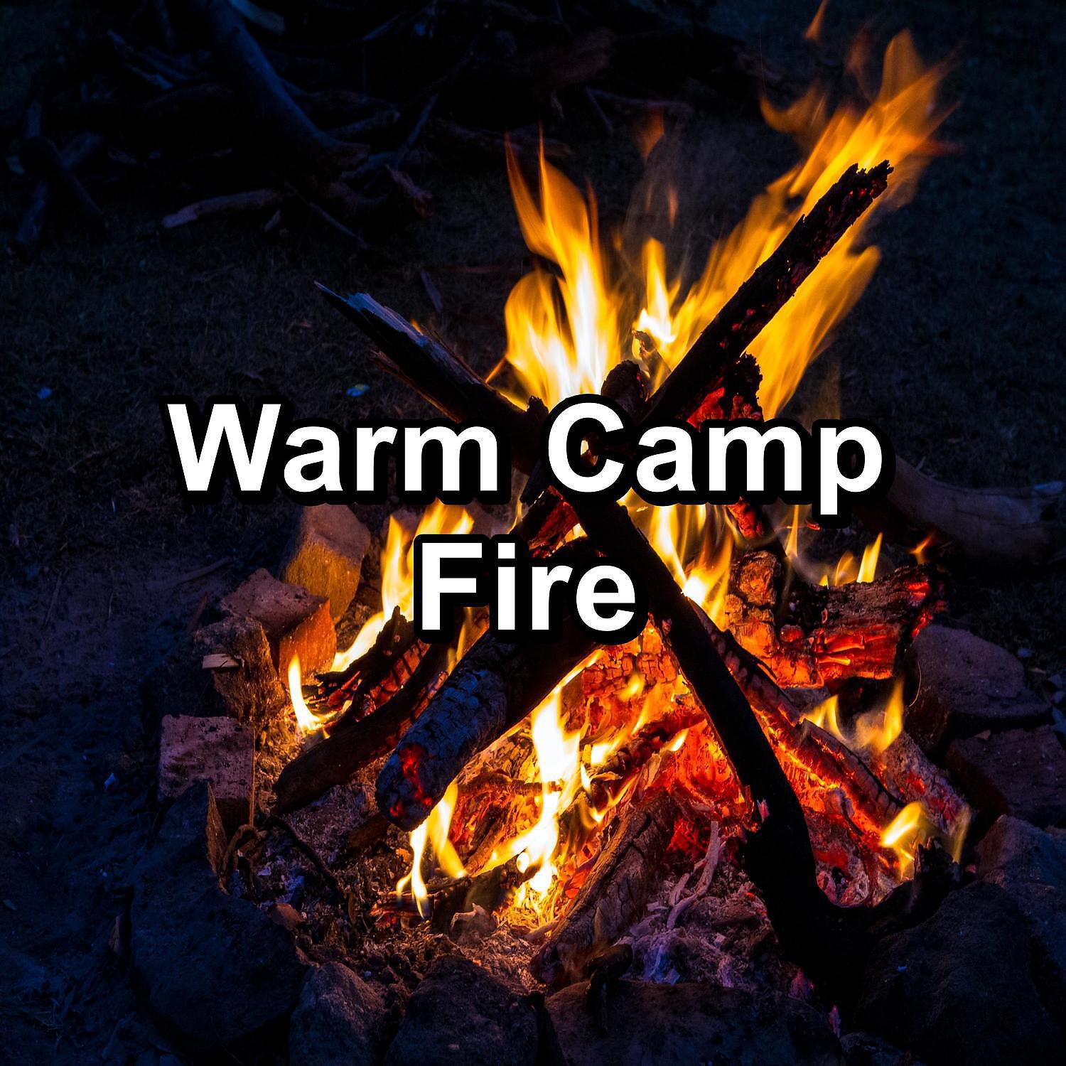 Christmas Hits - Fire Place Sounds in the Forest For Infants