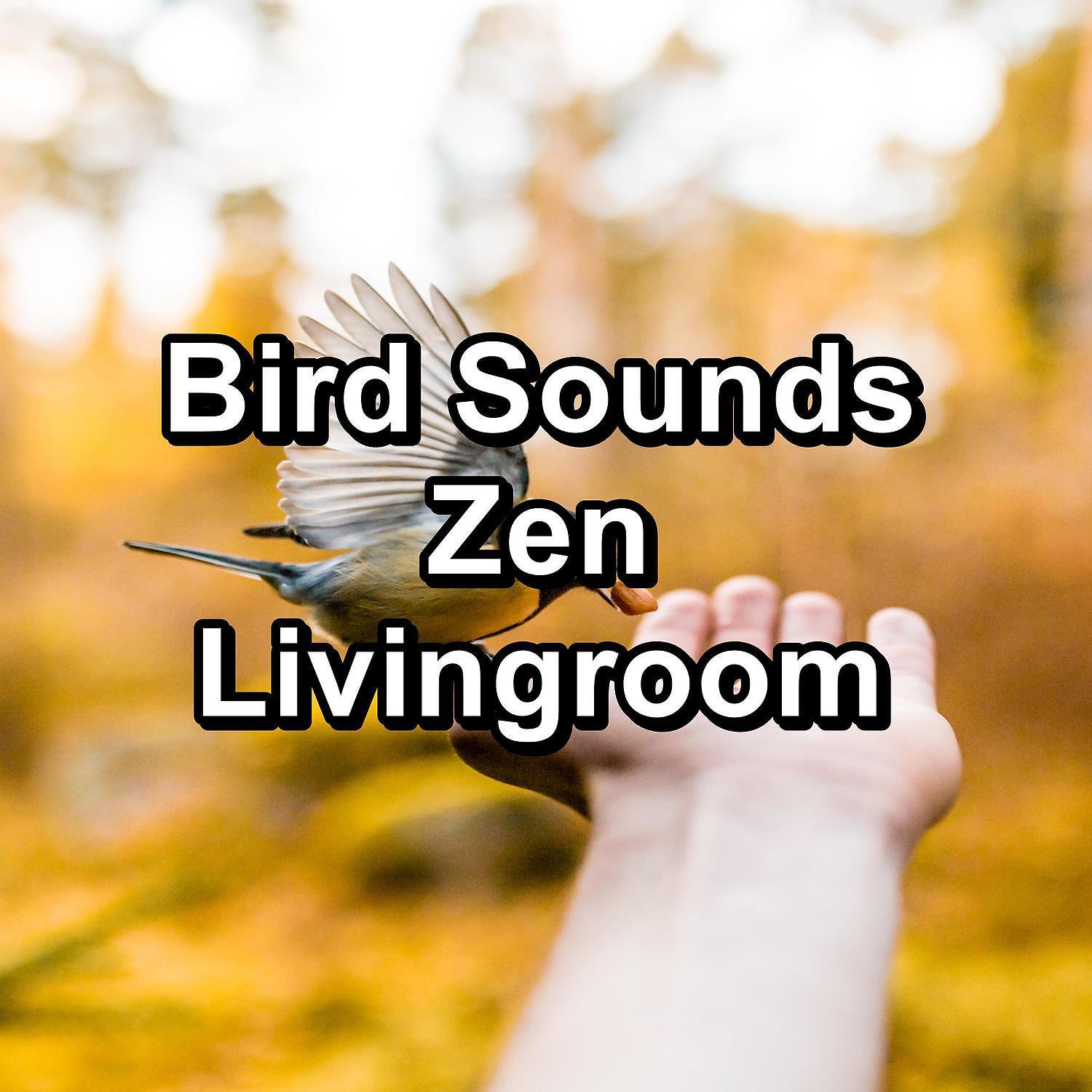 Постер альбома Bird Sounds Zen Livingroom
