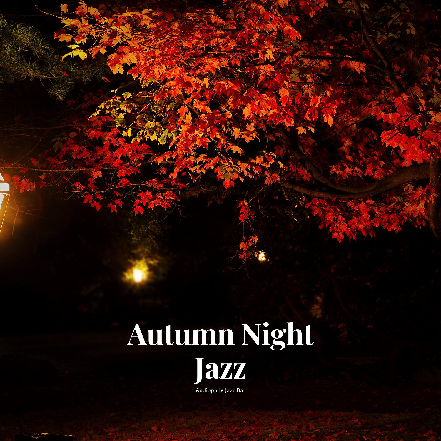 Audiophile Jazz Bar - Autumn Night Jazz