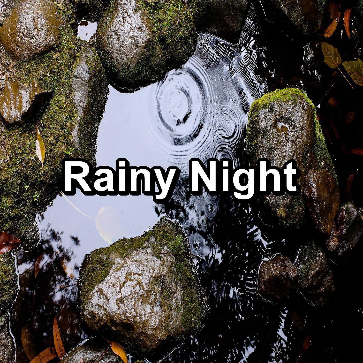 Постер альбома Rainy Night