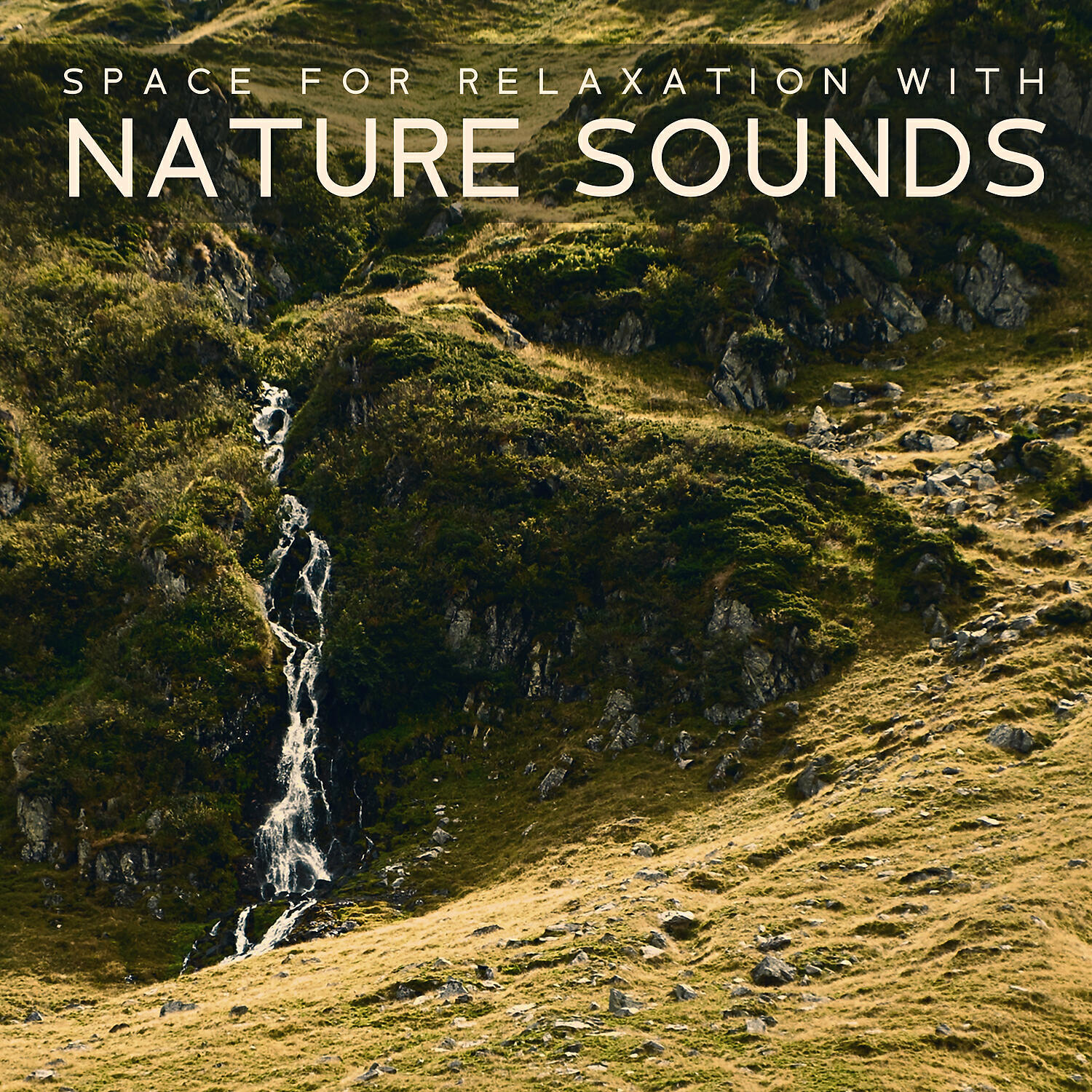 Calm Nature Oasis - Stress Relief – Nature Sounds for Rest