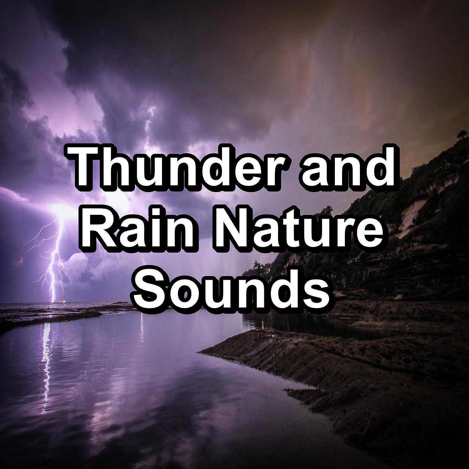 Rainy Mood - Rainfall in Summers with Thunder