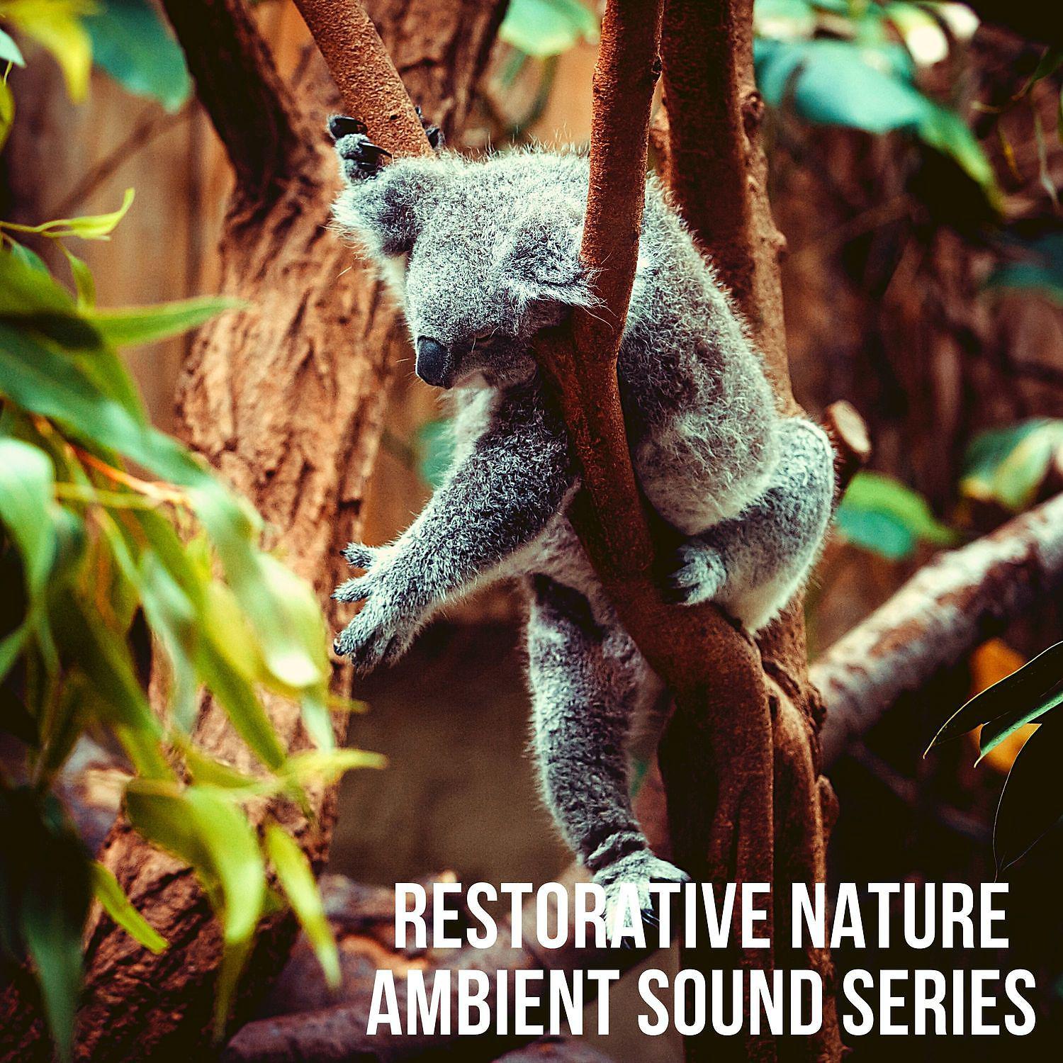 Постер альбома Restorative Nature Ambient Sound Series: Yoga Meditation Tracks 2021