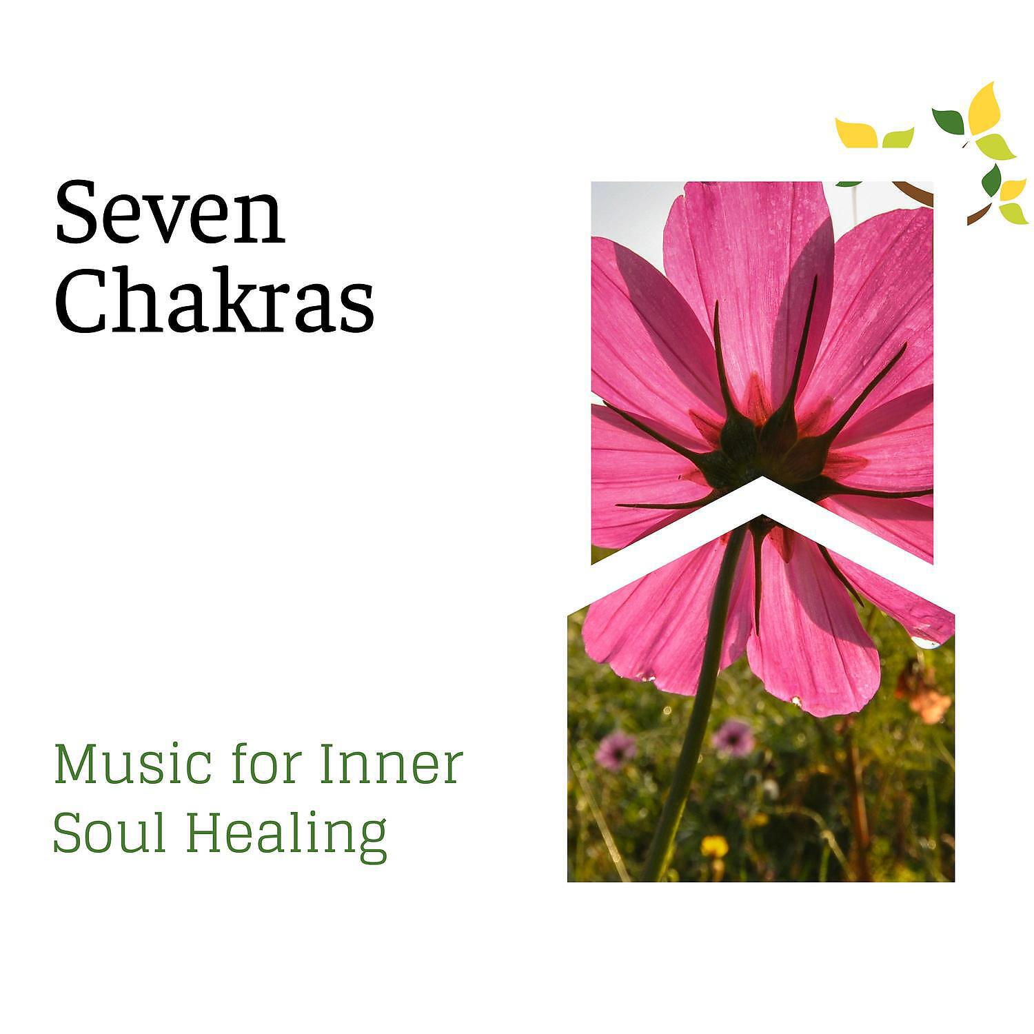 Narayani Das - Heavenly Fall (Cosmic Music for Mental Relaxation and Inner Healing)
