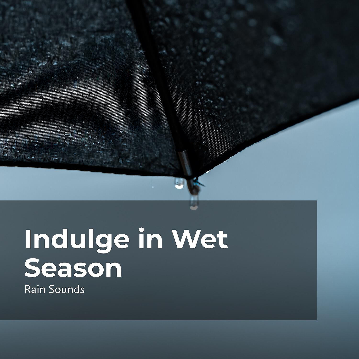 Rain Storm Sample Library - Feel the Rain Showers