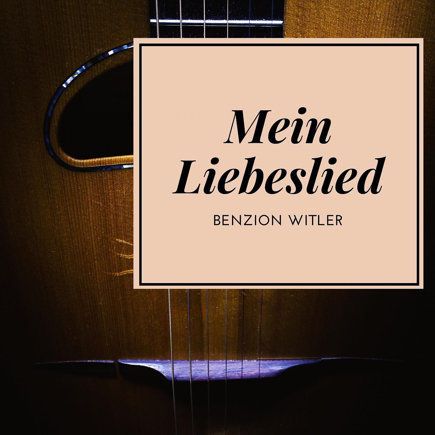 Постер альбома Mein Liebeslied