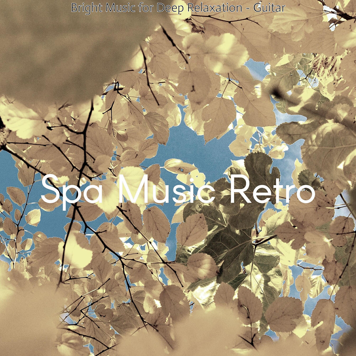 Spa Music Retro - Harp New Age Music Soundtrack for Aroma Massage