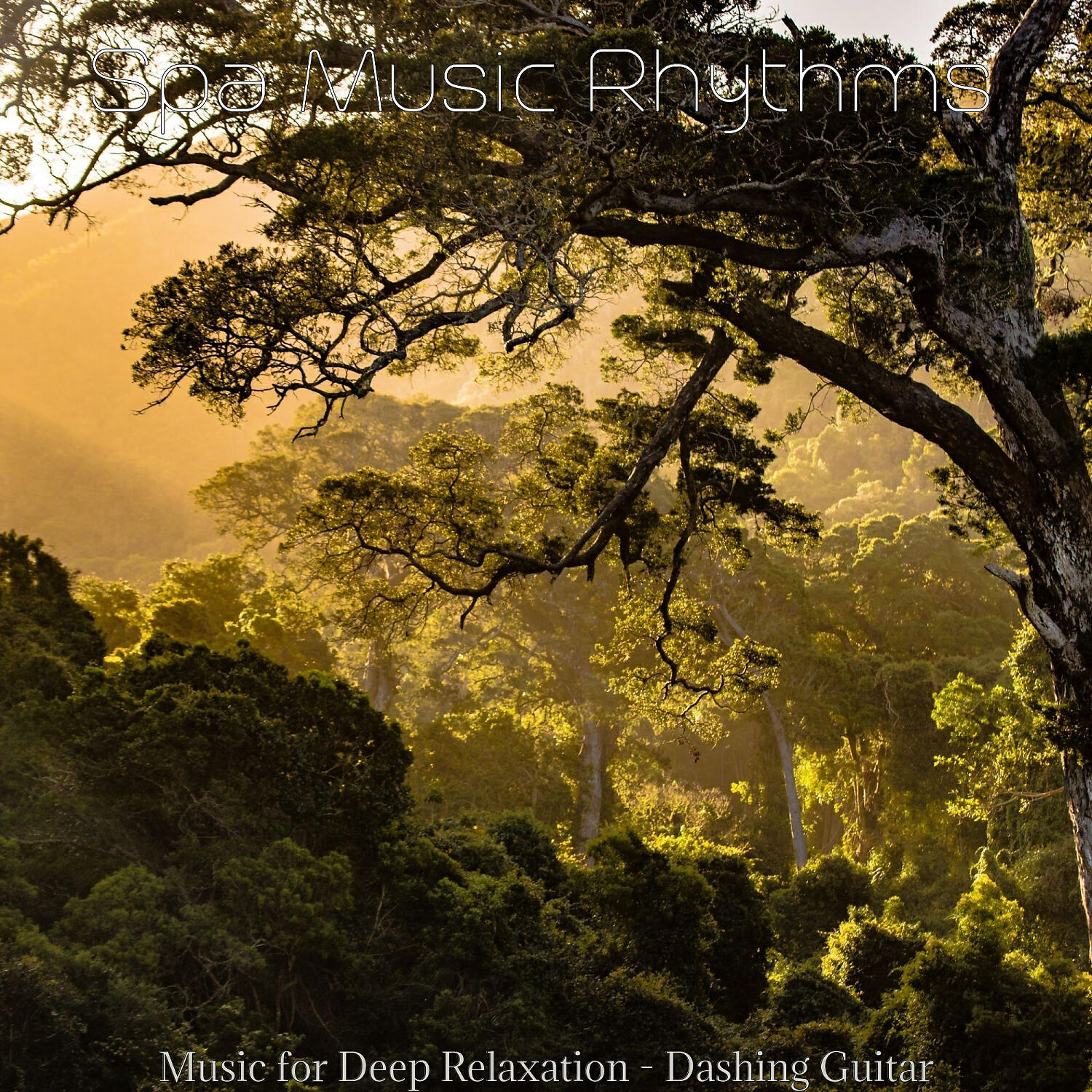 Spa Music Rhythms - Phenomenal Ambiance for Aroma Massage