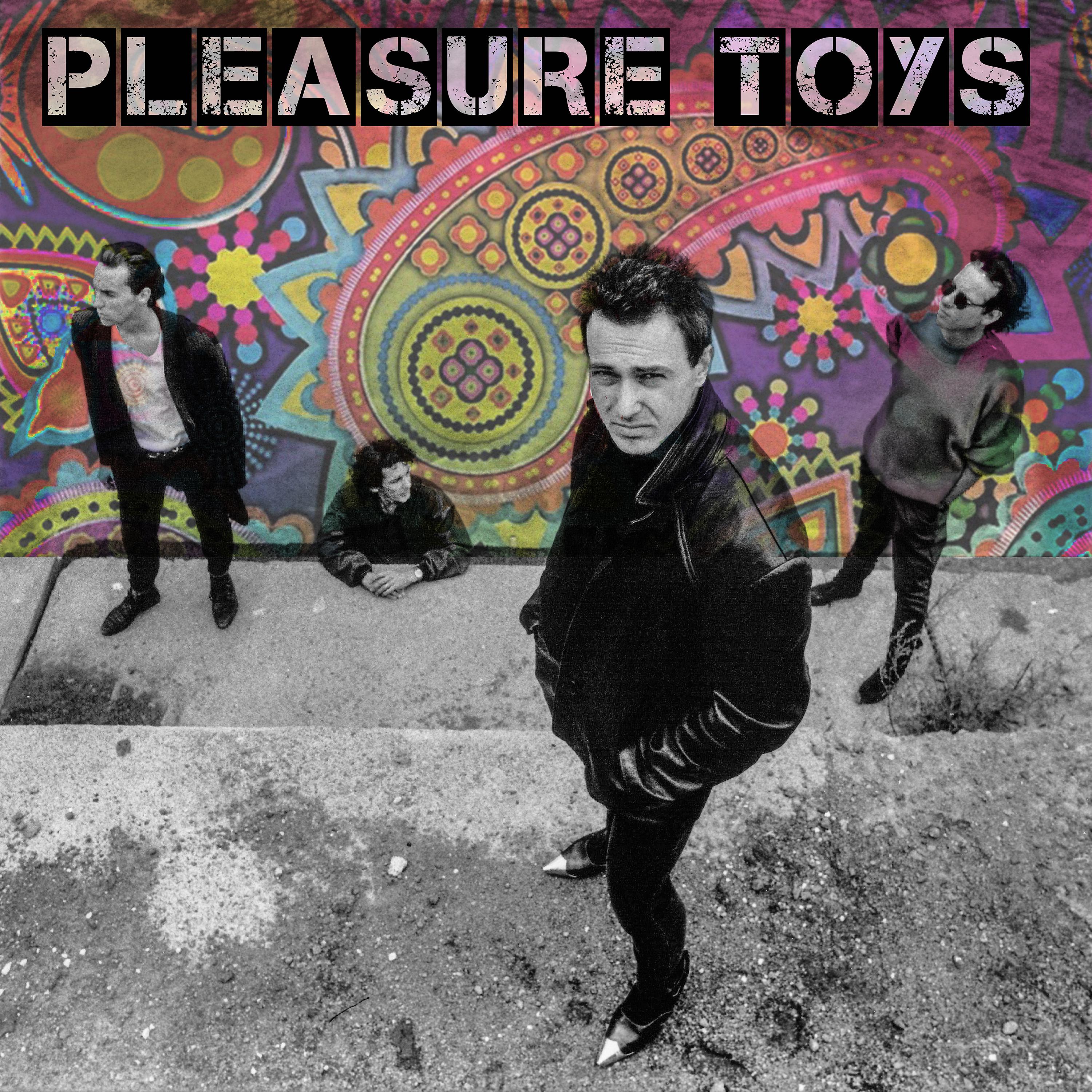 Постер альбома The Pleasure Toys