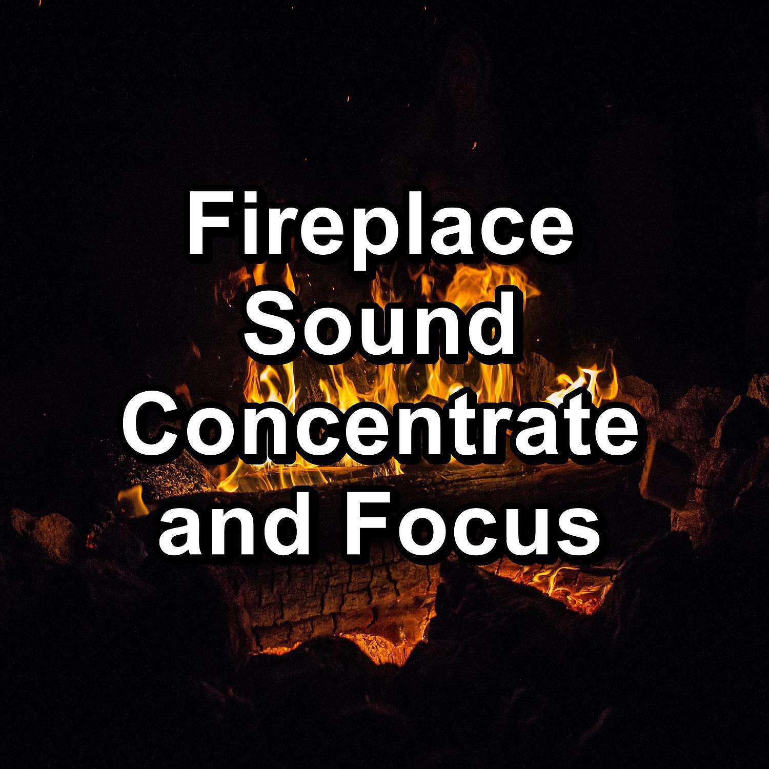 Focusity - Warm Fire Place Music