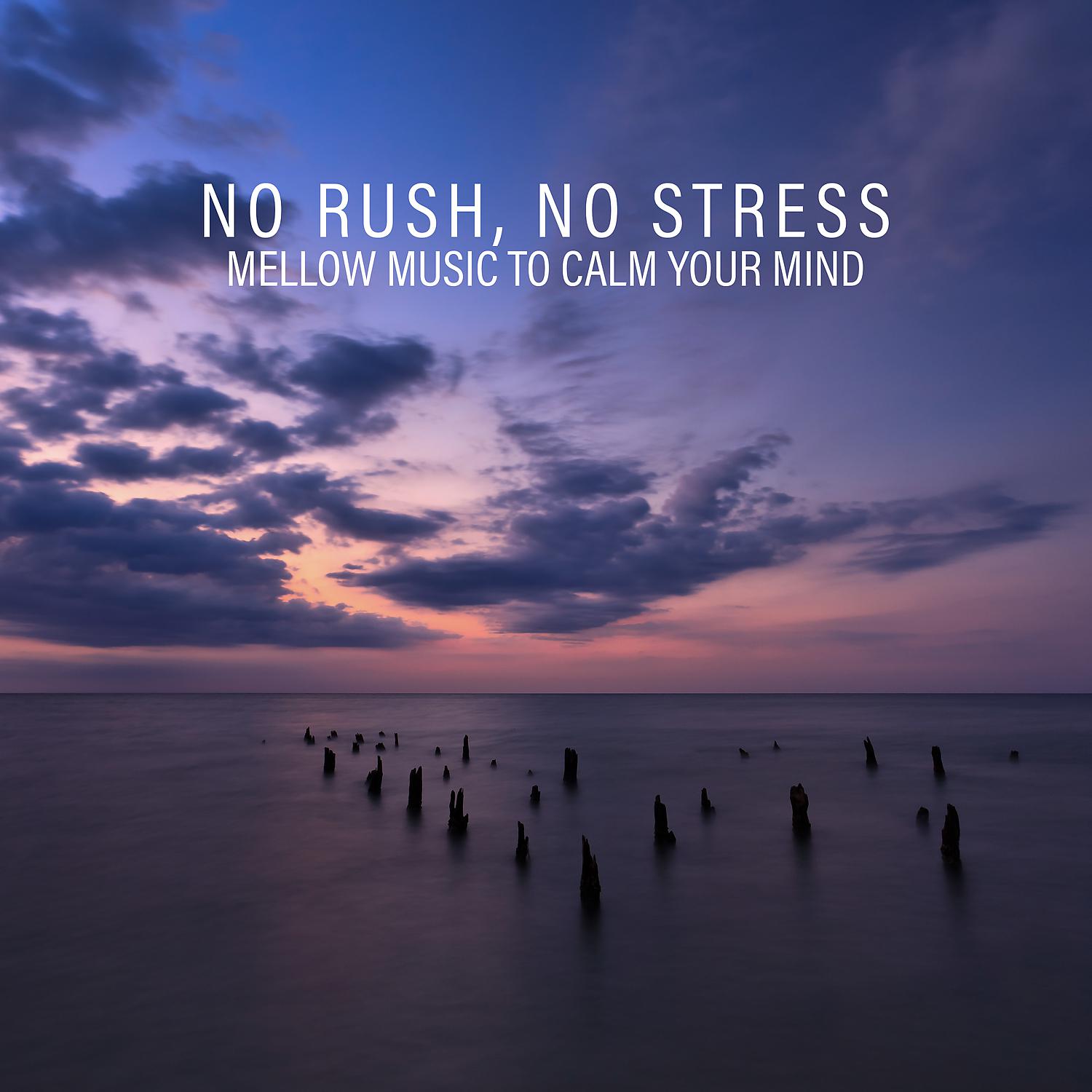 Постер альбома No Rush, No Stress: Mellow Music to Calm Your Mind