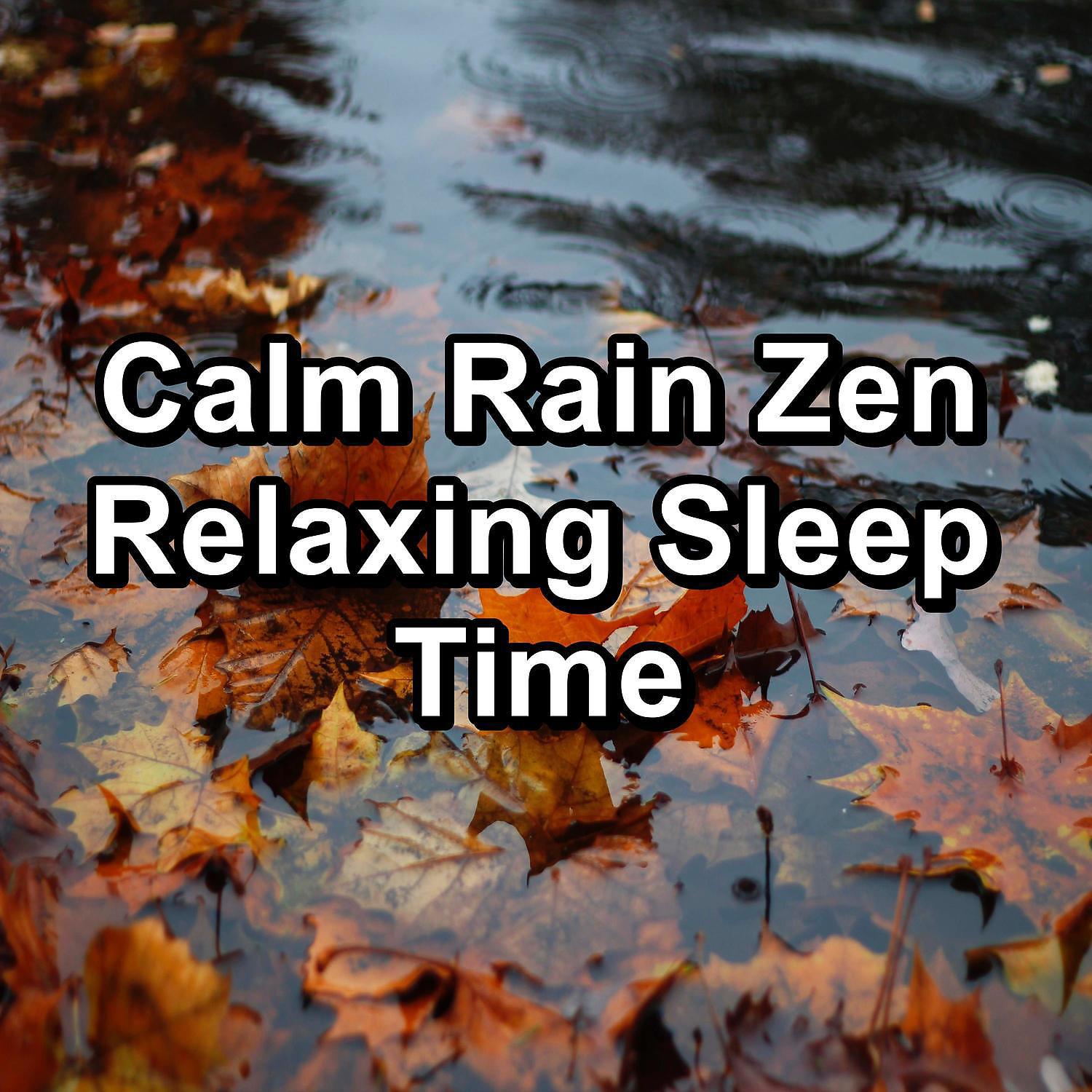 Постер альбома Calm Rain Zen Relaxing Sleep Time