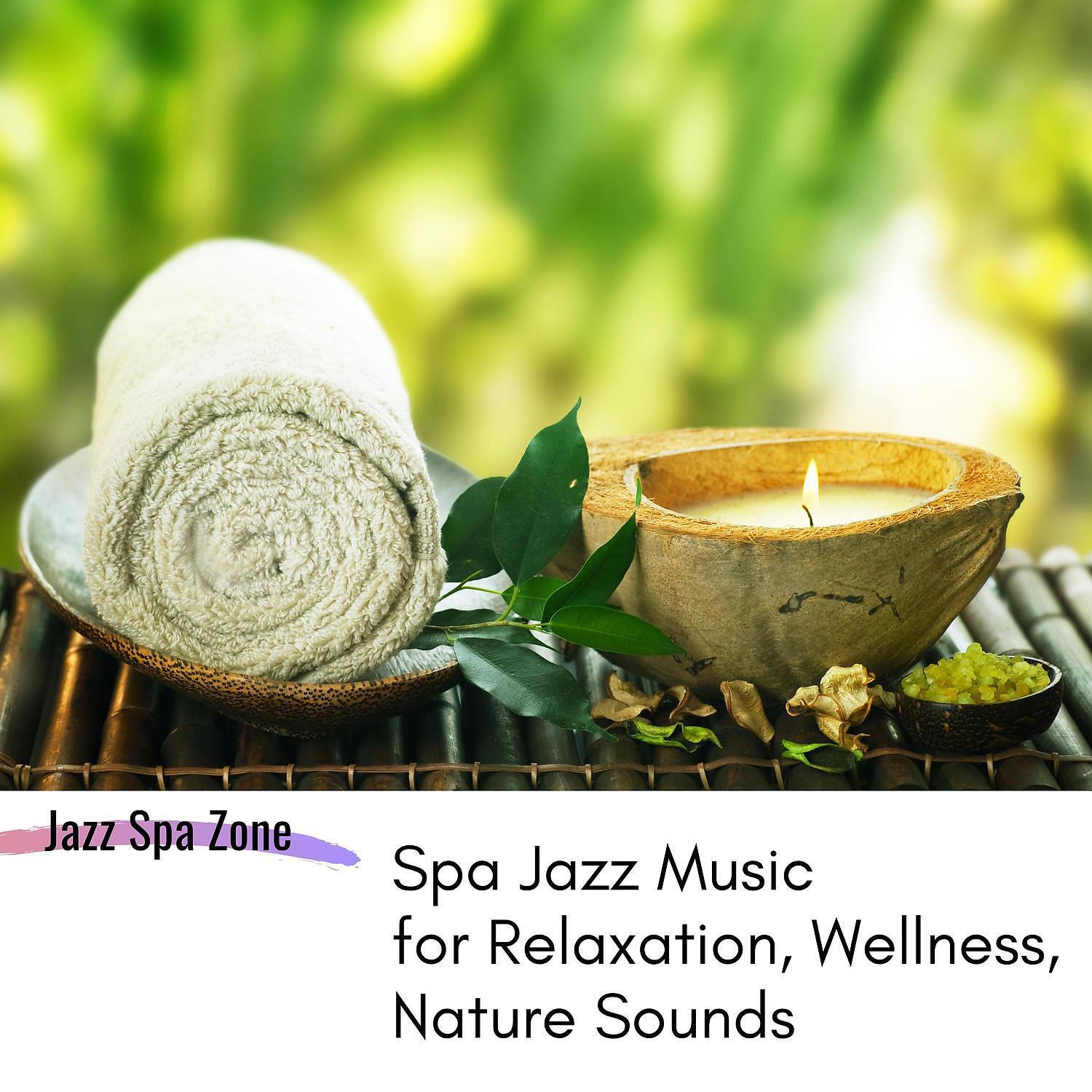 Jazz Spa Zone - Nature Sounds - Insomnia Cure (SPA Jazz Music)