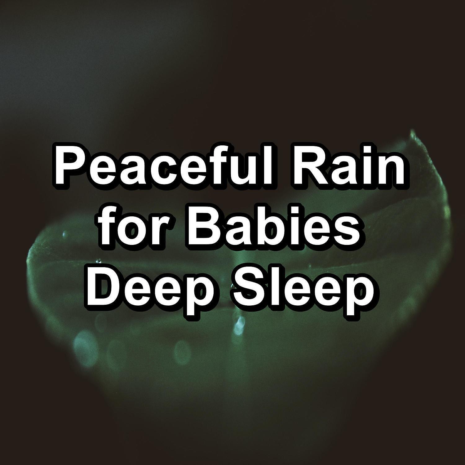 RAIN - Calm Rain with Thunder and White Noise Pure Sounds to Help Insomnia