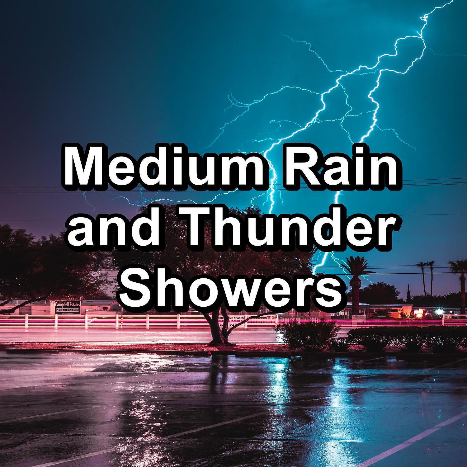 Mr Thunder - Rain Sound and Thunder in the Rainy Forest For Babies to Sleep