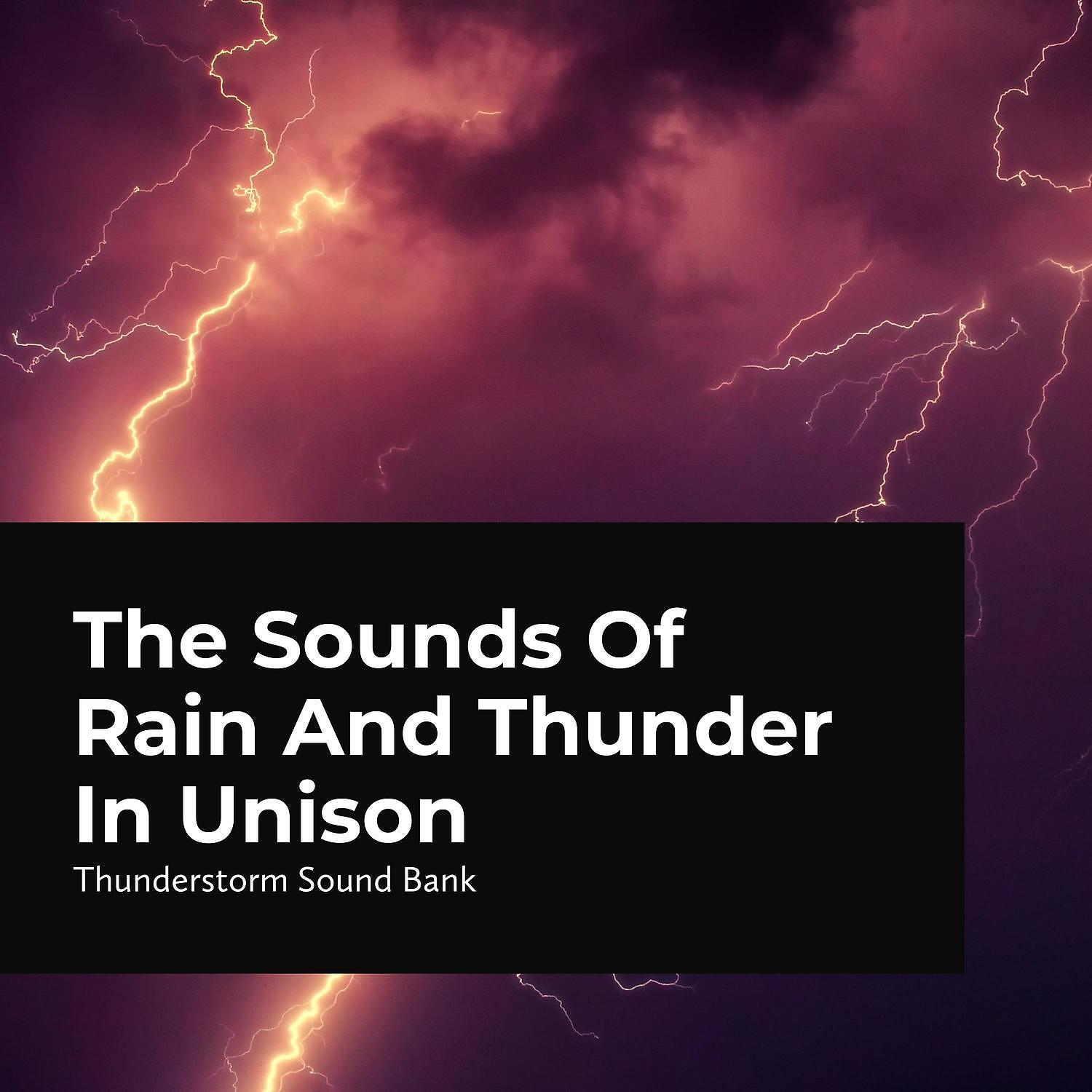 Постер альбома The Sounds of Rain and Thunder in Unison