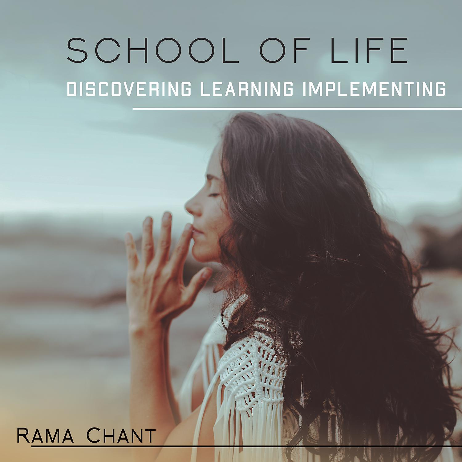 Постер альбома School of Life: Discovering, Learning, Implementing