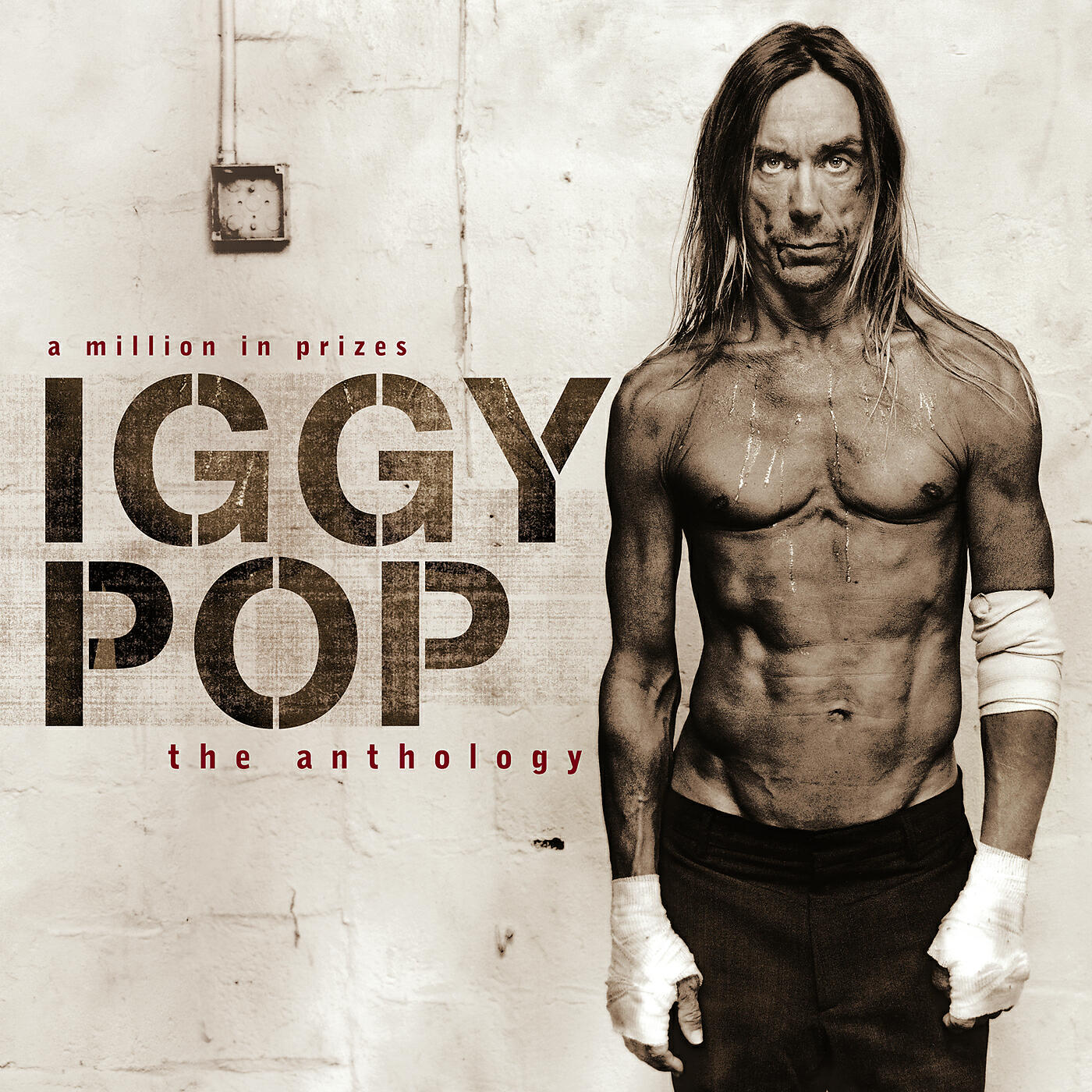 Iggy Pop - Candy