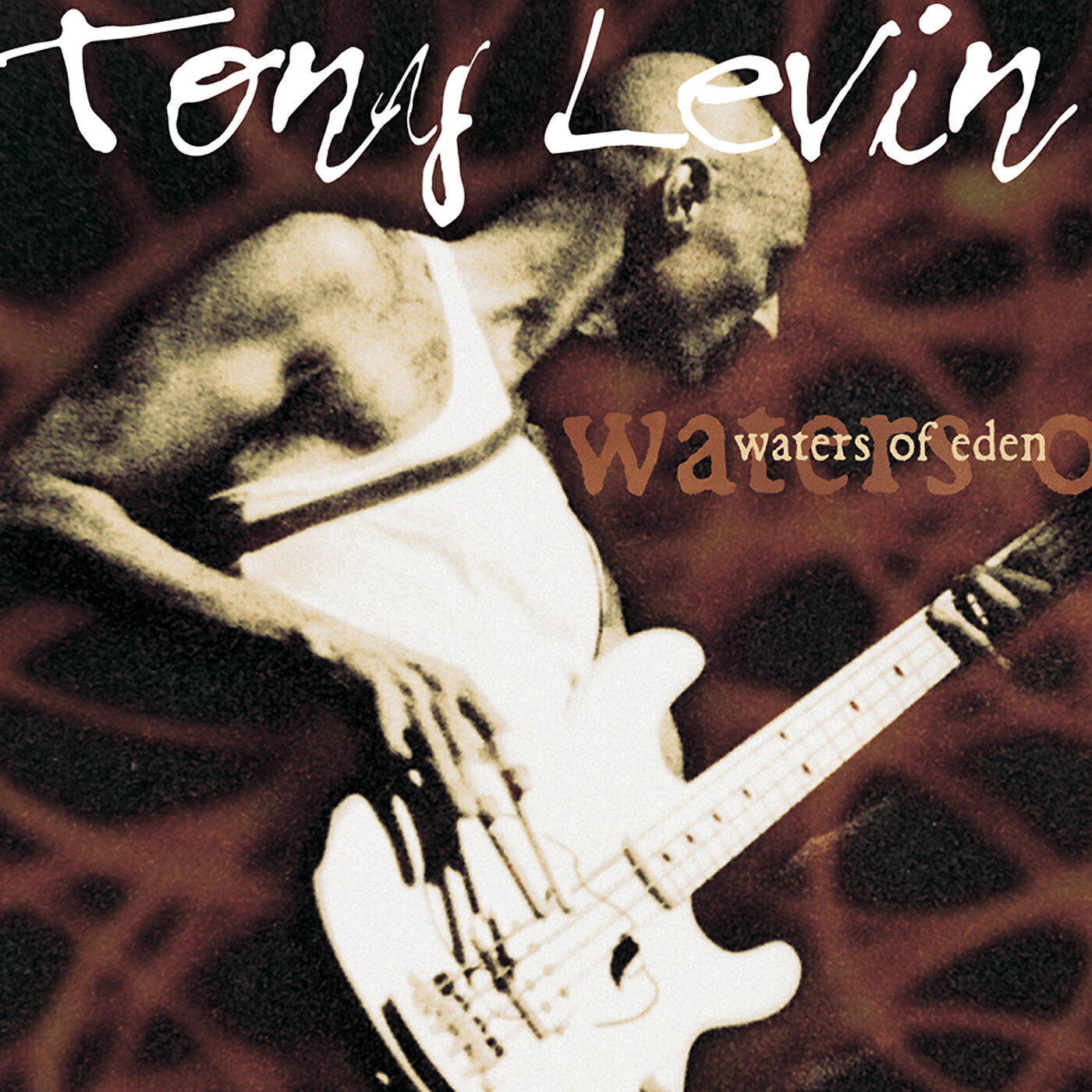 Tony Levin - Gecko Walk