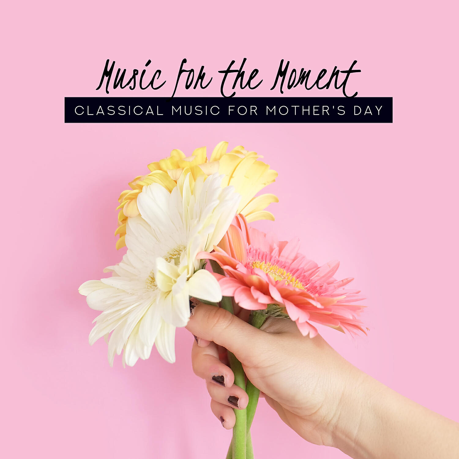 Ted Nayes - 6 Moments Musicaux, Op. 94, D. 780: No. 1 in C Major, Moderato