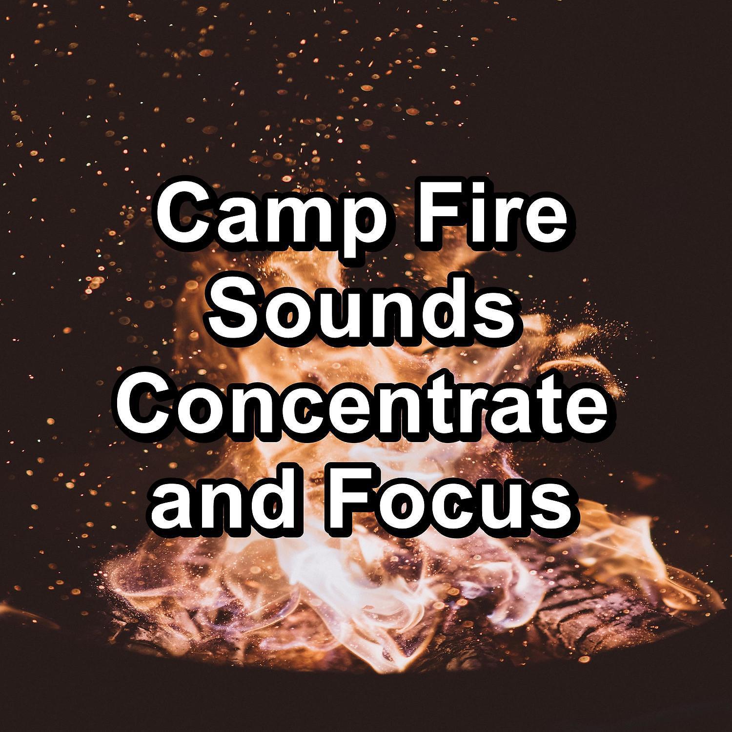 Постер альбома Camp Fire Sounds Concentrate and Focus
