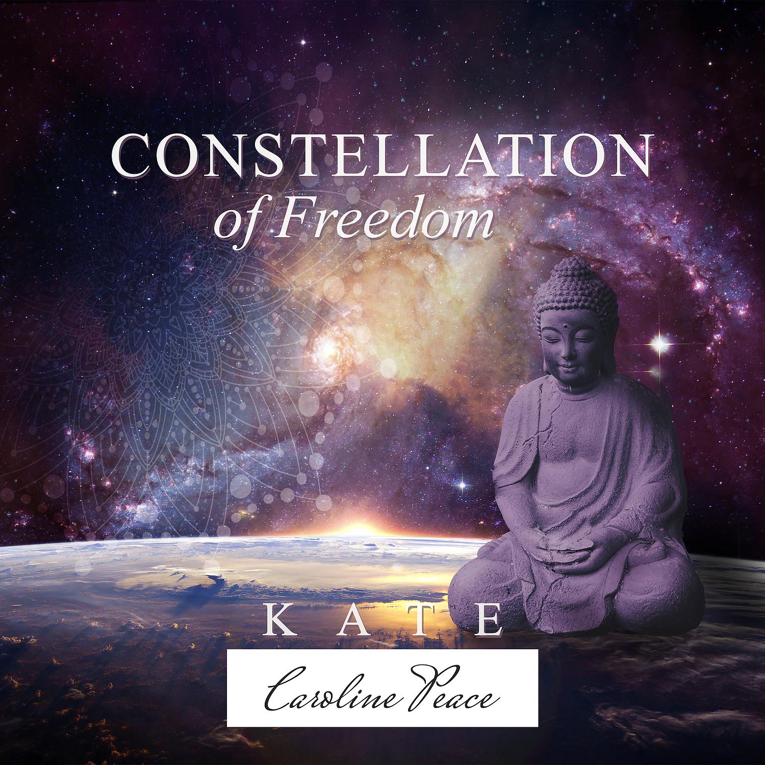 Постер альбома Constellation of Freedom