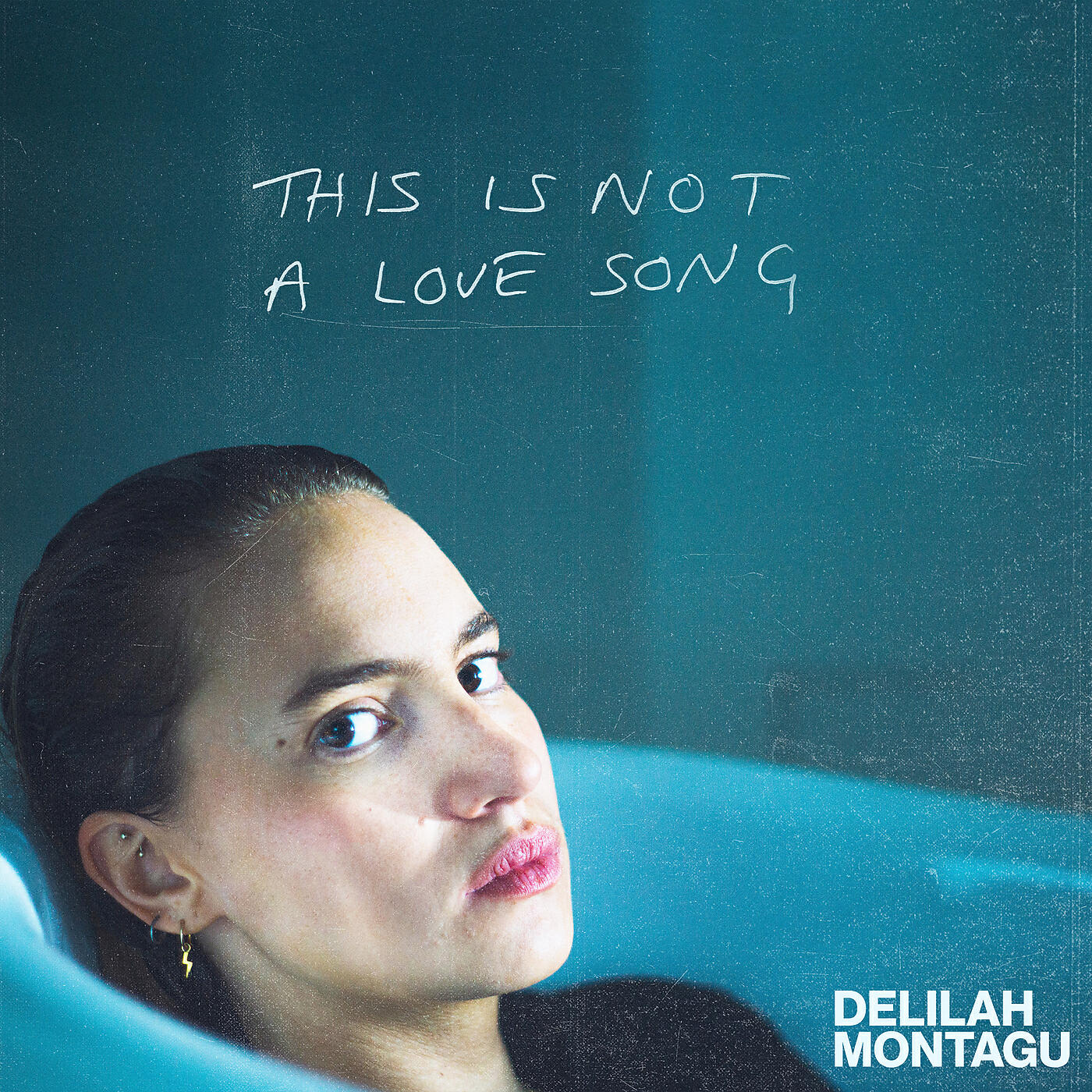 Delilah Montagu - Faultline