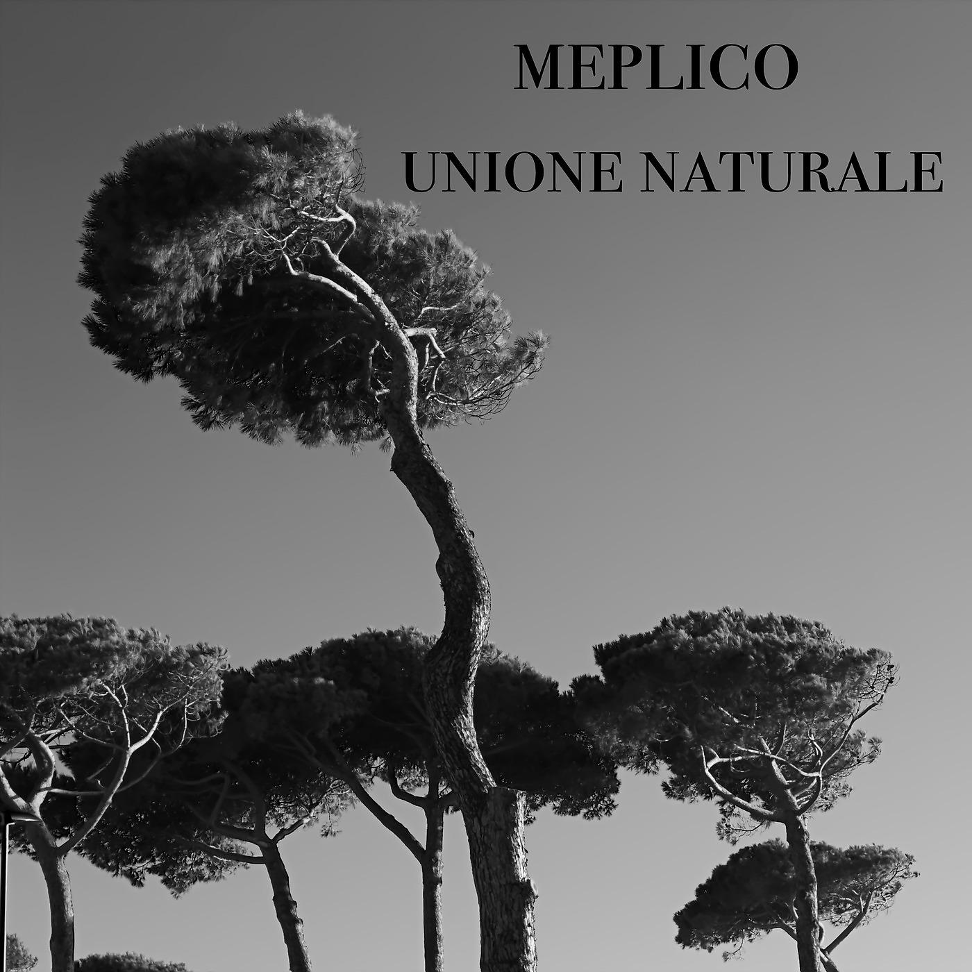 Постер альбома Unione naturale