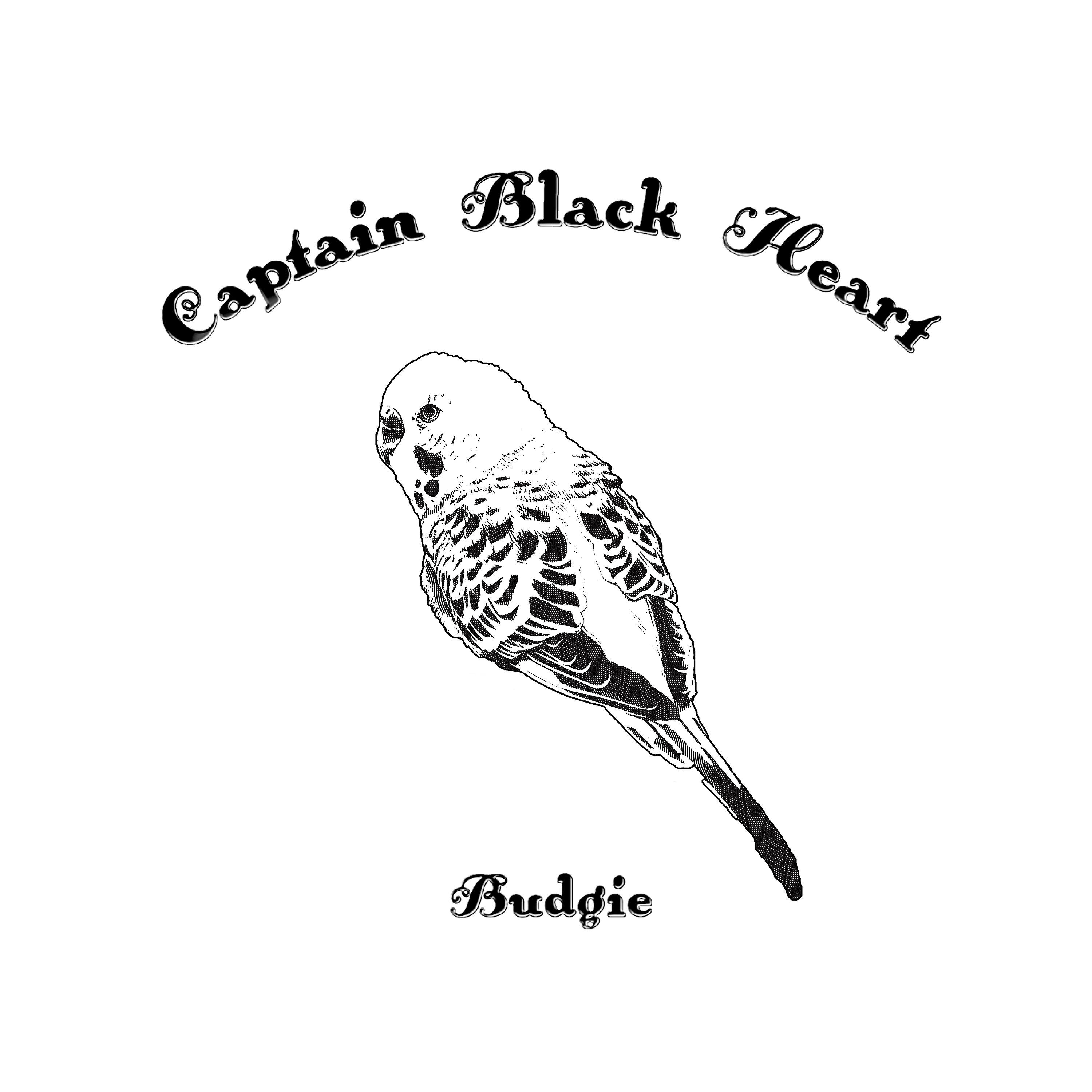 Captain Black Heart - Dead Crows (Instrumental)
