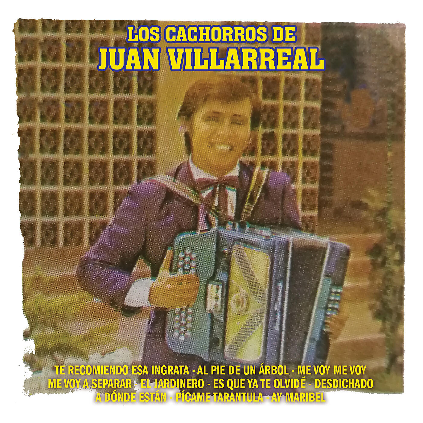 Los Cachorros De Julian Villarreal - Desdichado