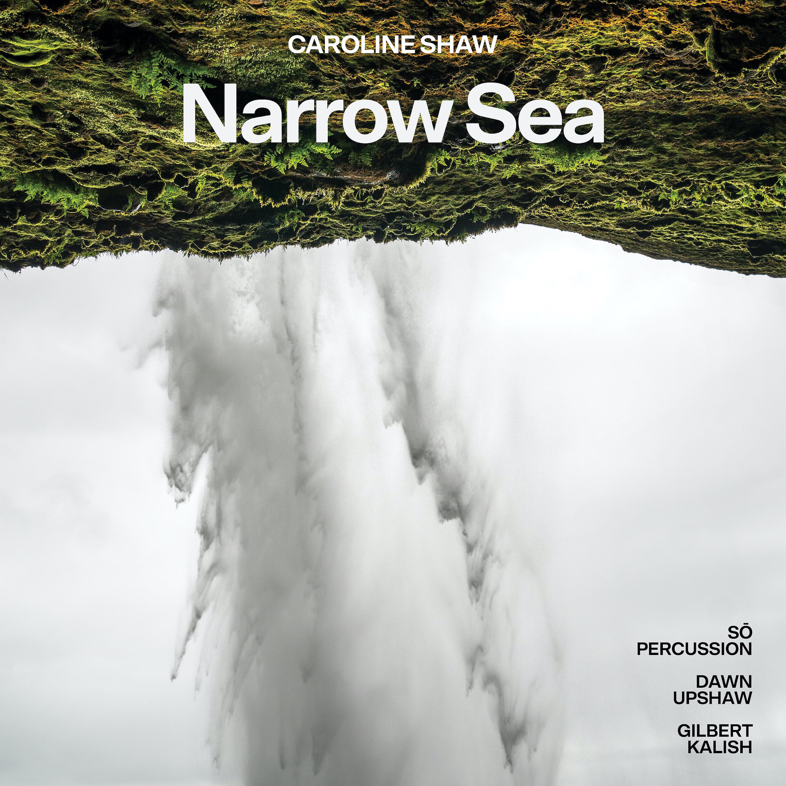 Постер альбома Caroline Shaw: Narrow Sea