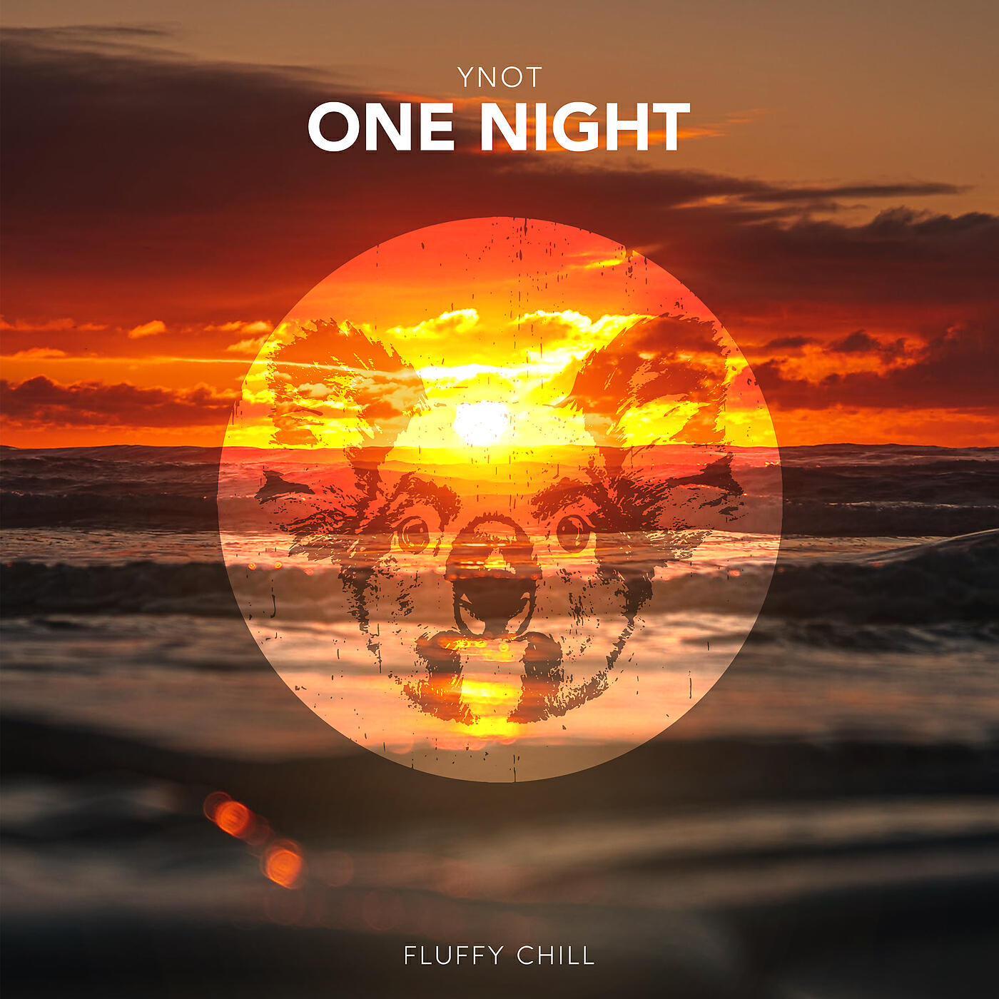 YNOT - One Night