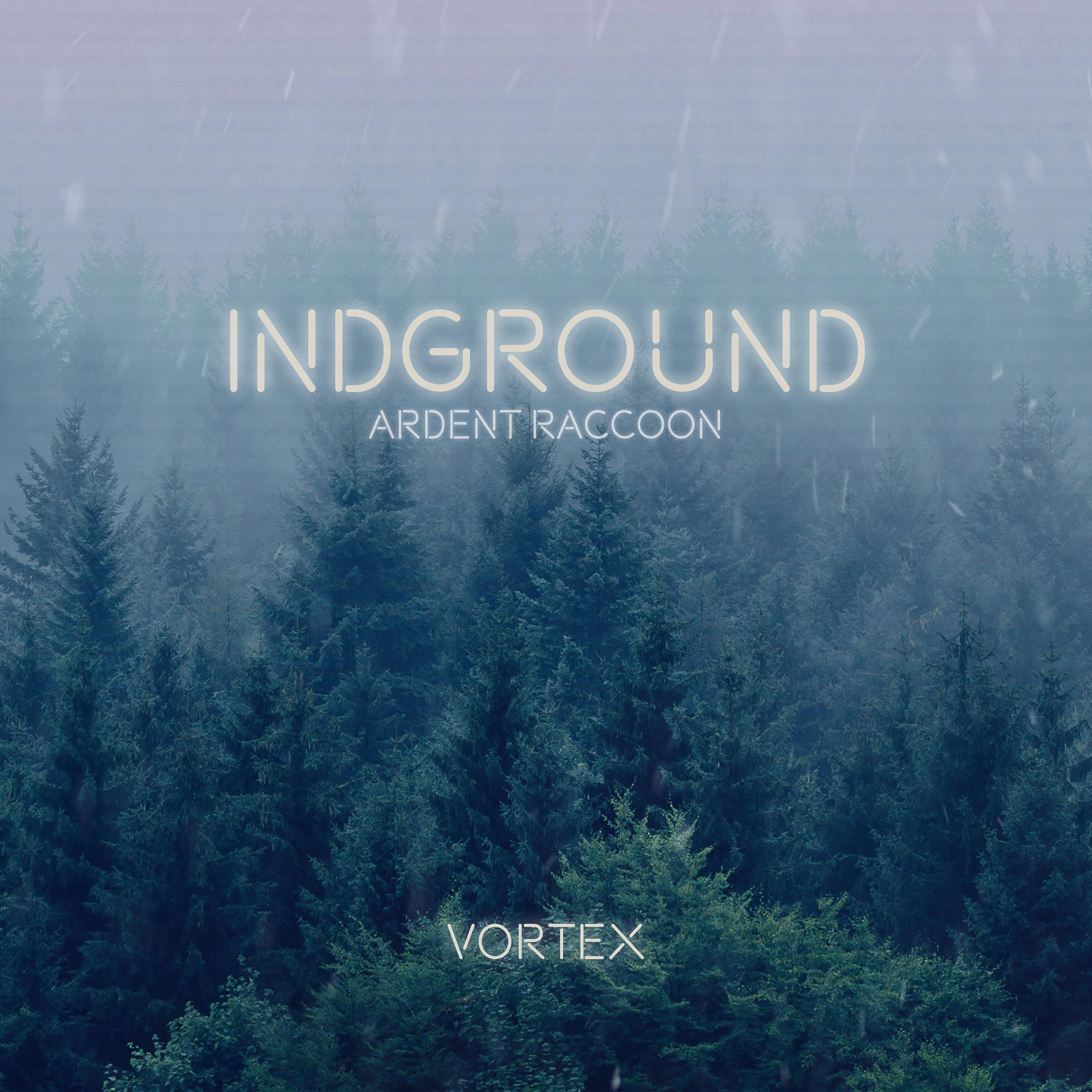 ARDENT RACCOON - Vortex