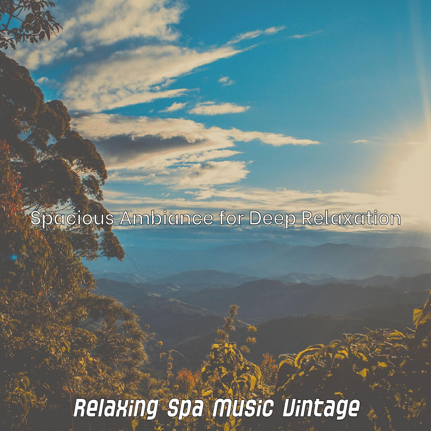 Relaxing Spa Music Vintage - Serene Spa Days